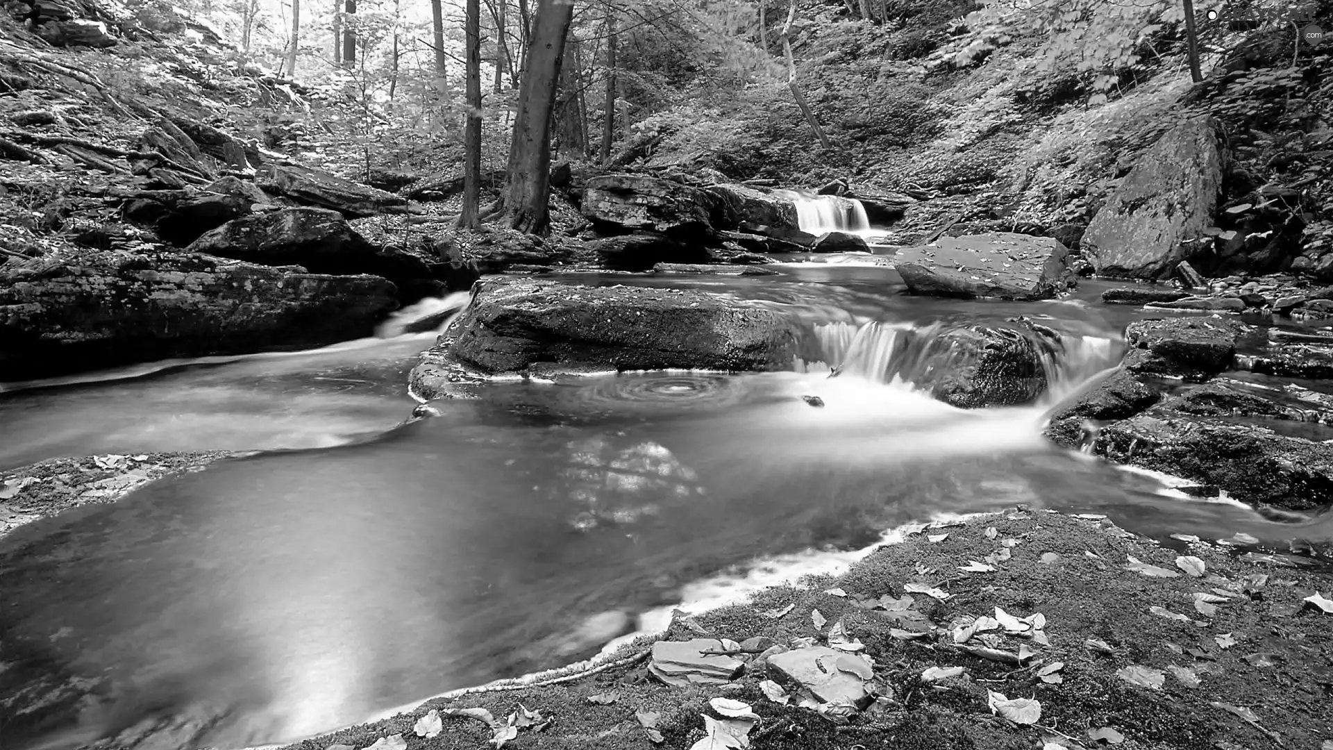 rocks, mosses, River, waterfall, forest