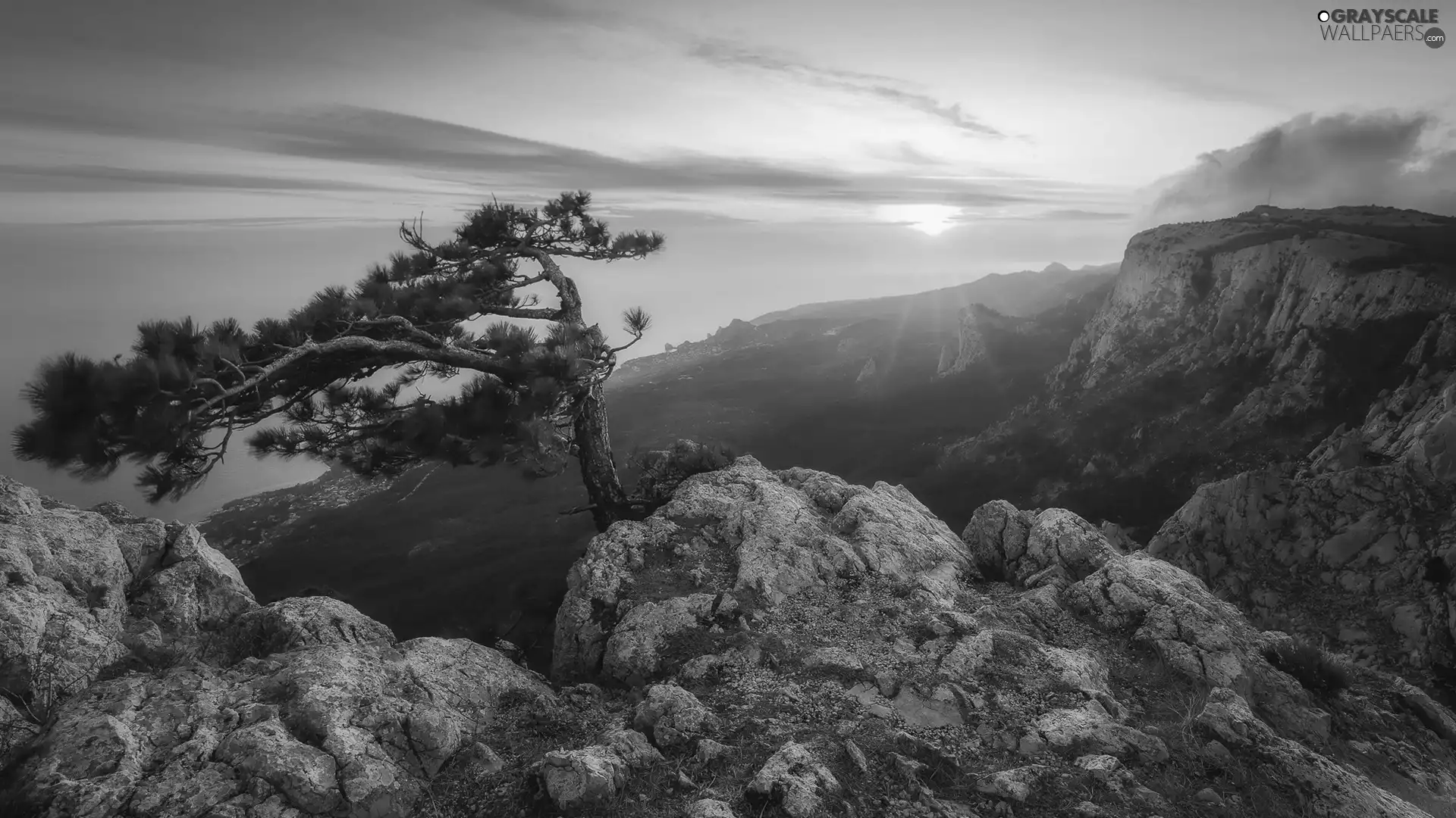 Mountains, pine, Sunrise, rocks