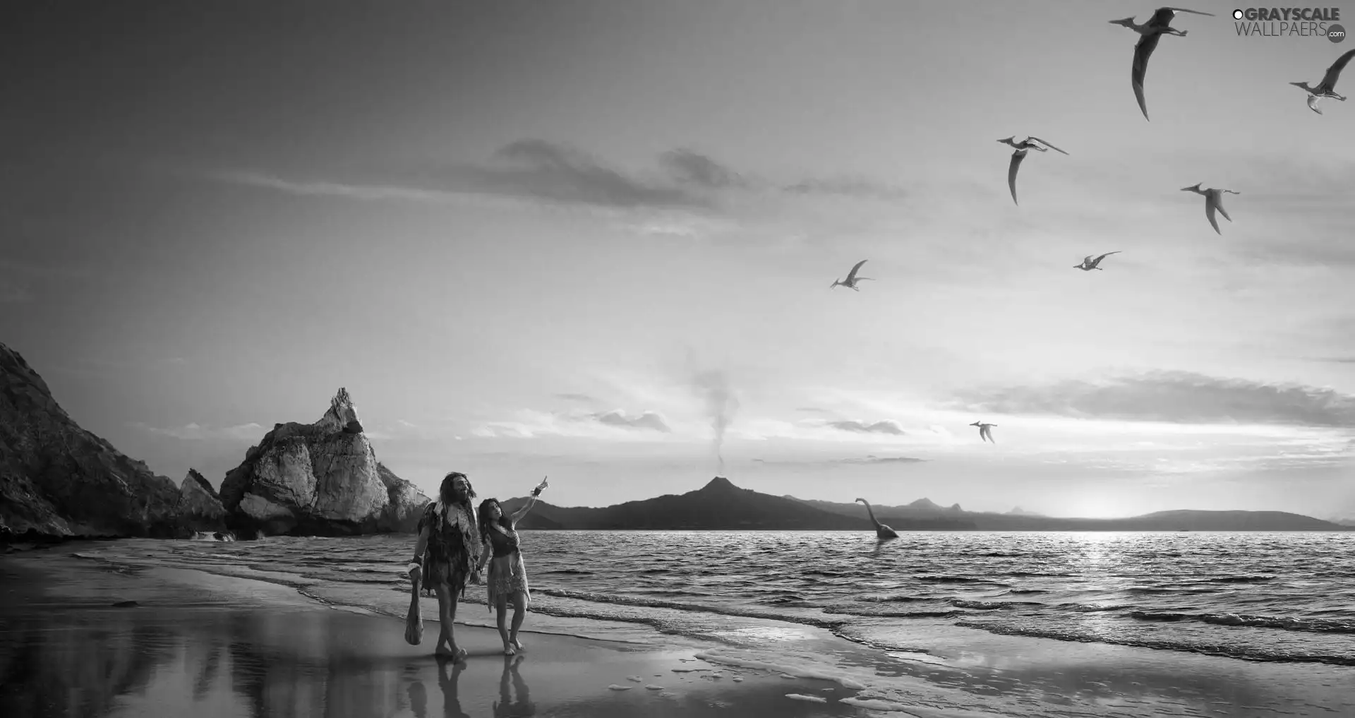 rocks, People, sea, Beaches, birds