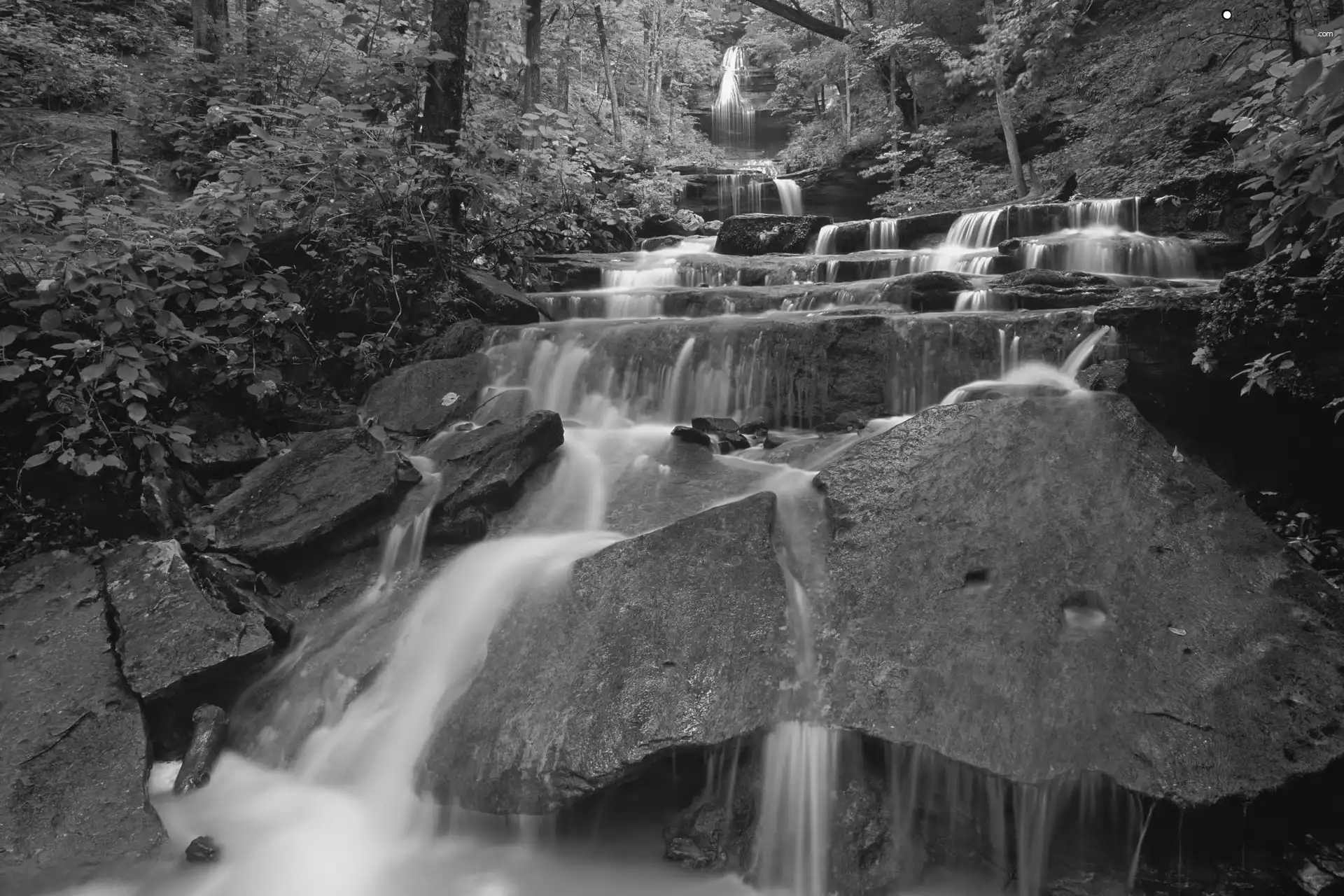 River, rocks