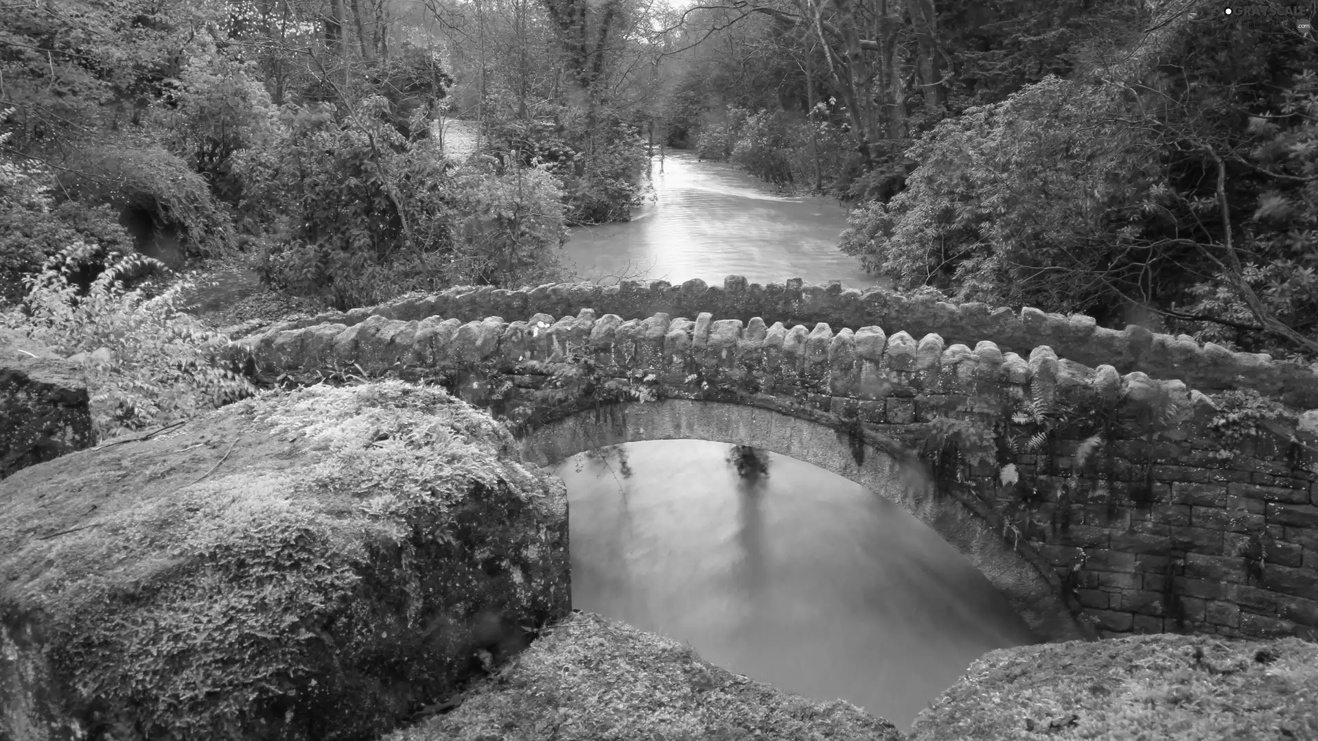 River, bridge, rocks, forest