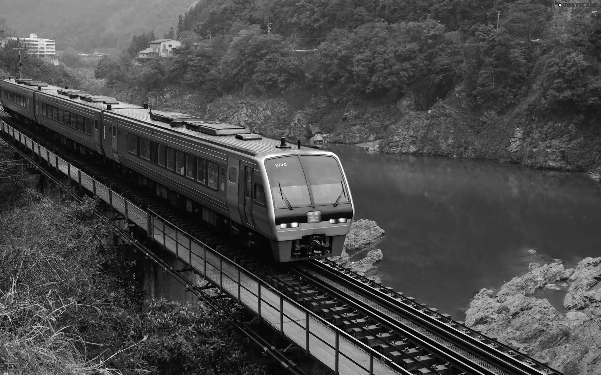 Houses, Train, rocks, River, forest, bridge