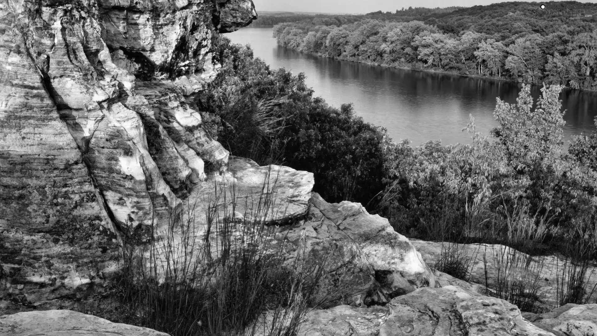 Rocks, woods, River