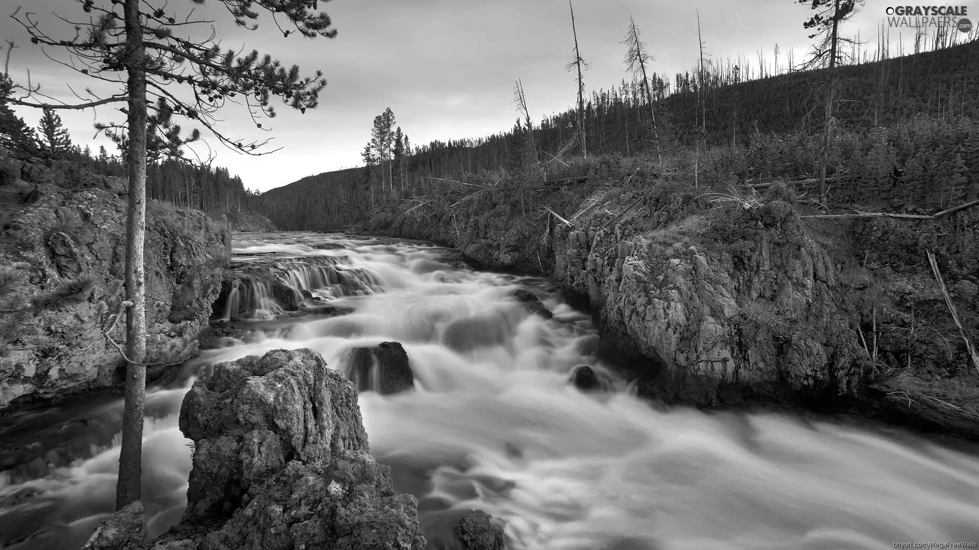 River, rocks