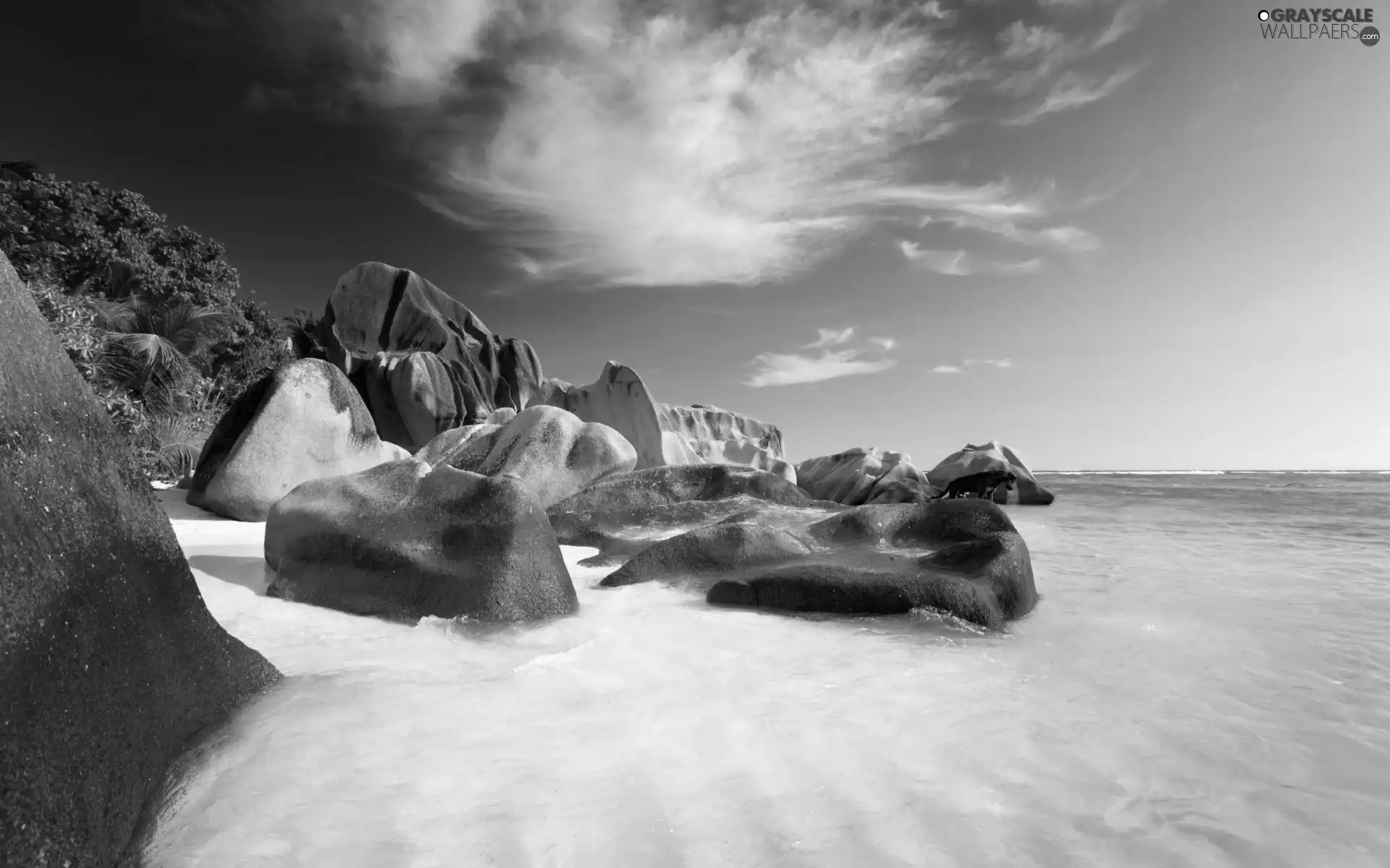 sea, rocks