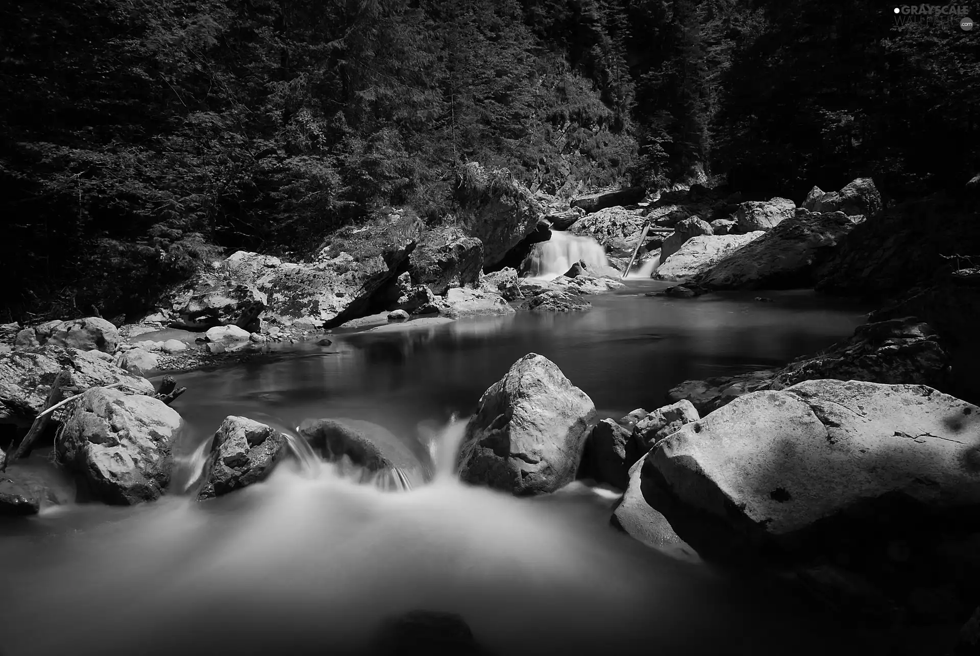 rocks, forest, stream