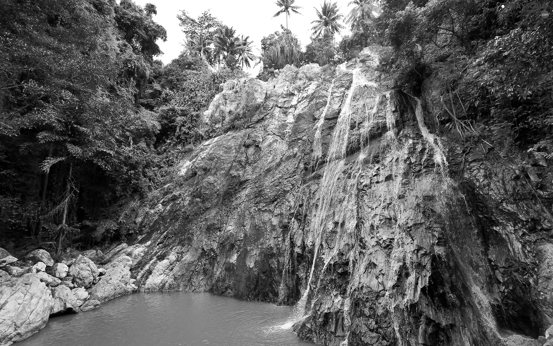 trees, waterfall, rocks, viewes