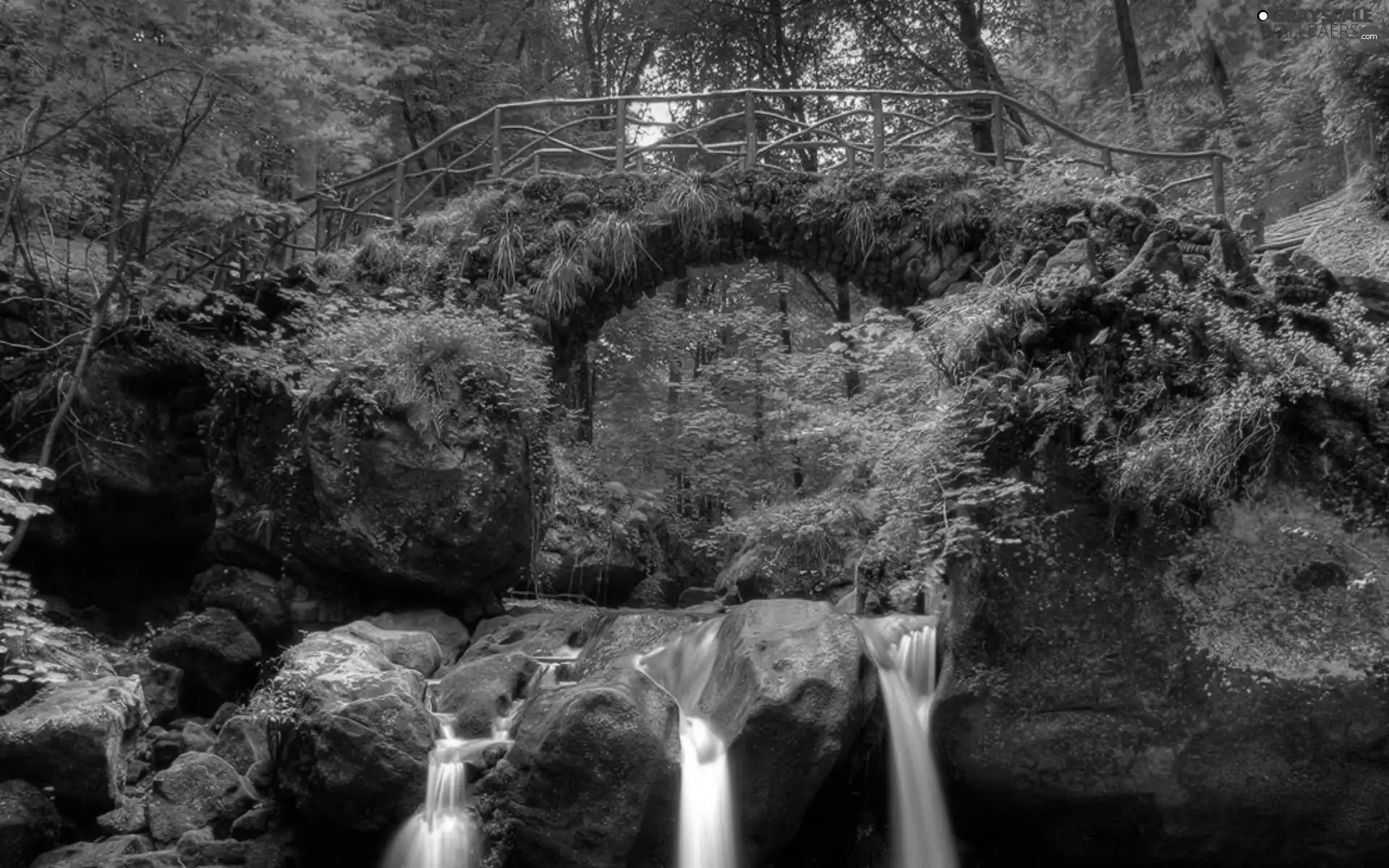 rocks, VEGETATION, bridges, waterfall, forest