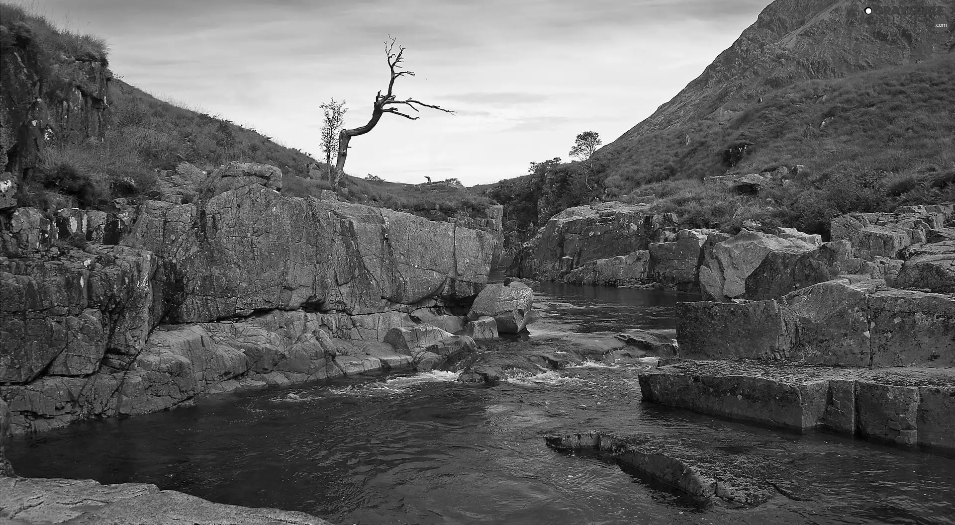 Rocks, Park, rocks, VEGETATION, River, national