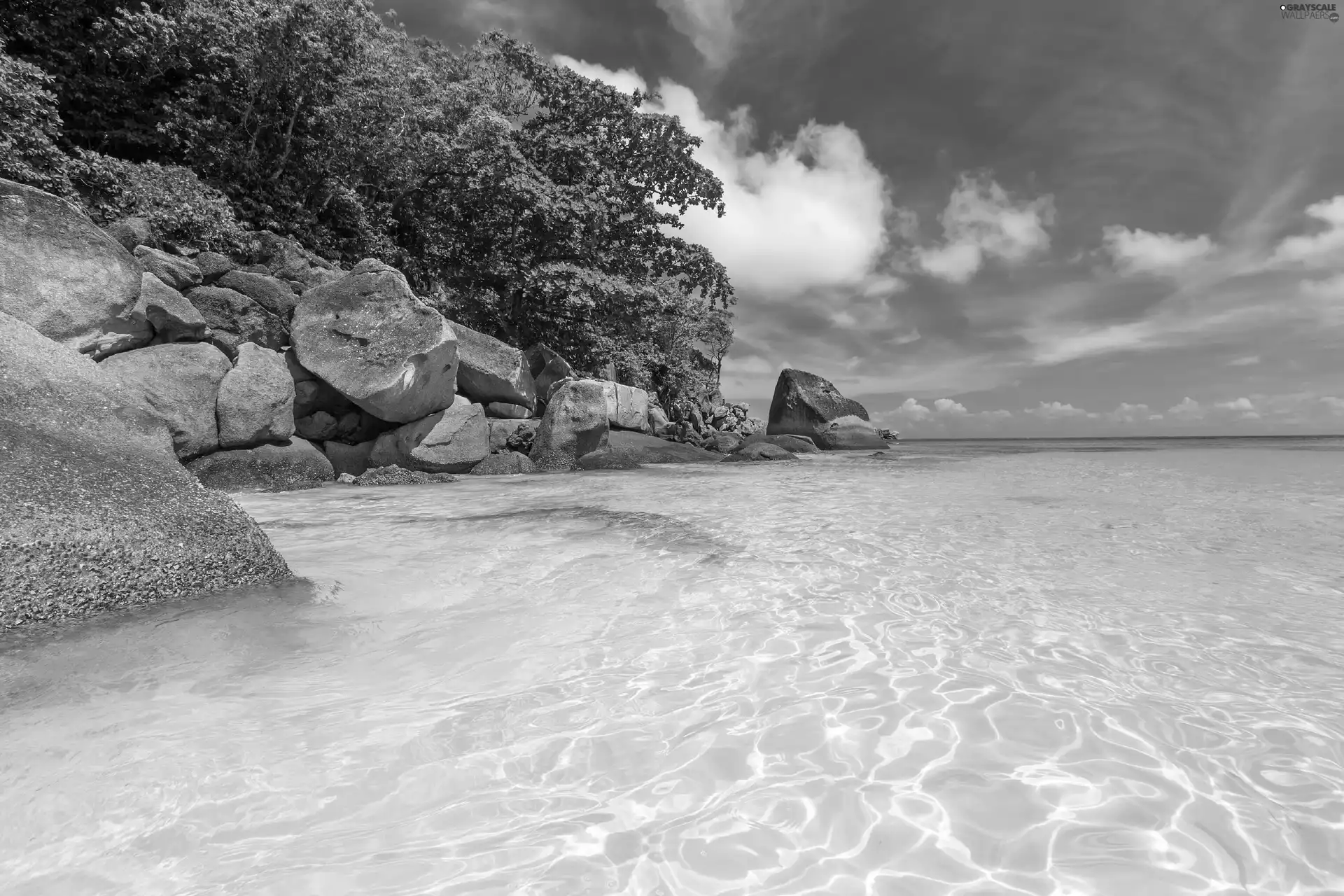 sea, Coast, rocks, VEGETATION, Stones, Thailand