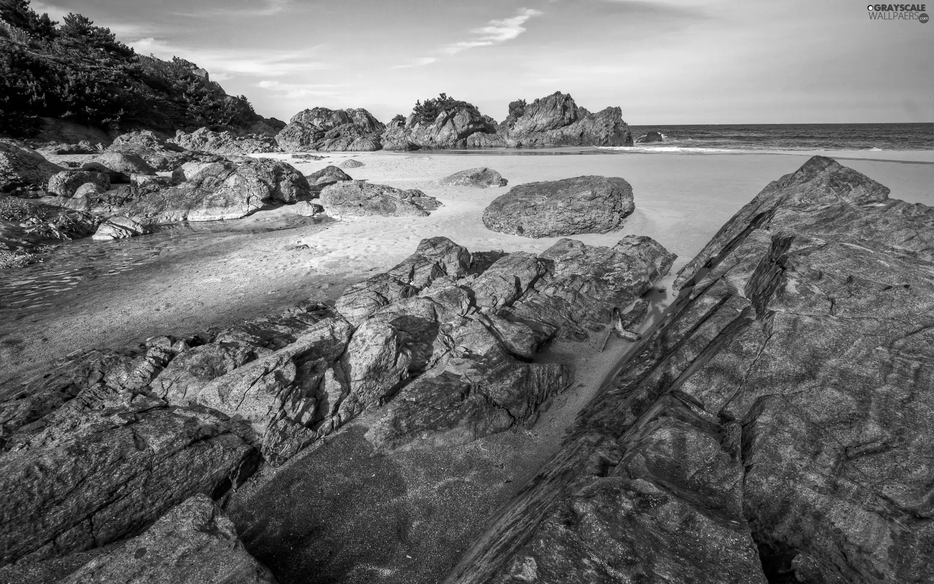 Sand, water, trees, Beaches, sea, rocks, viewes