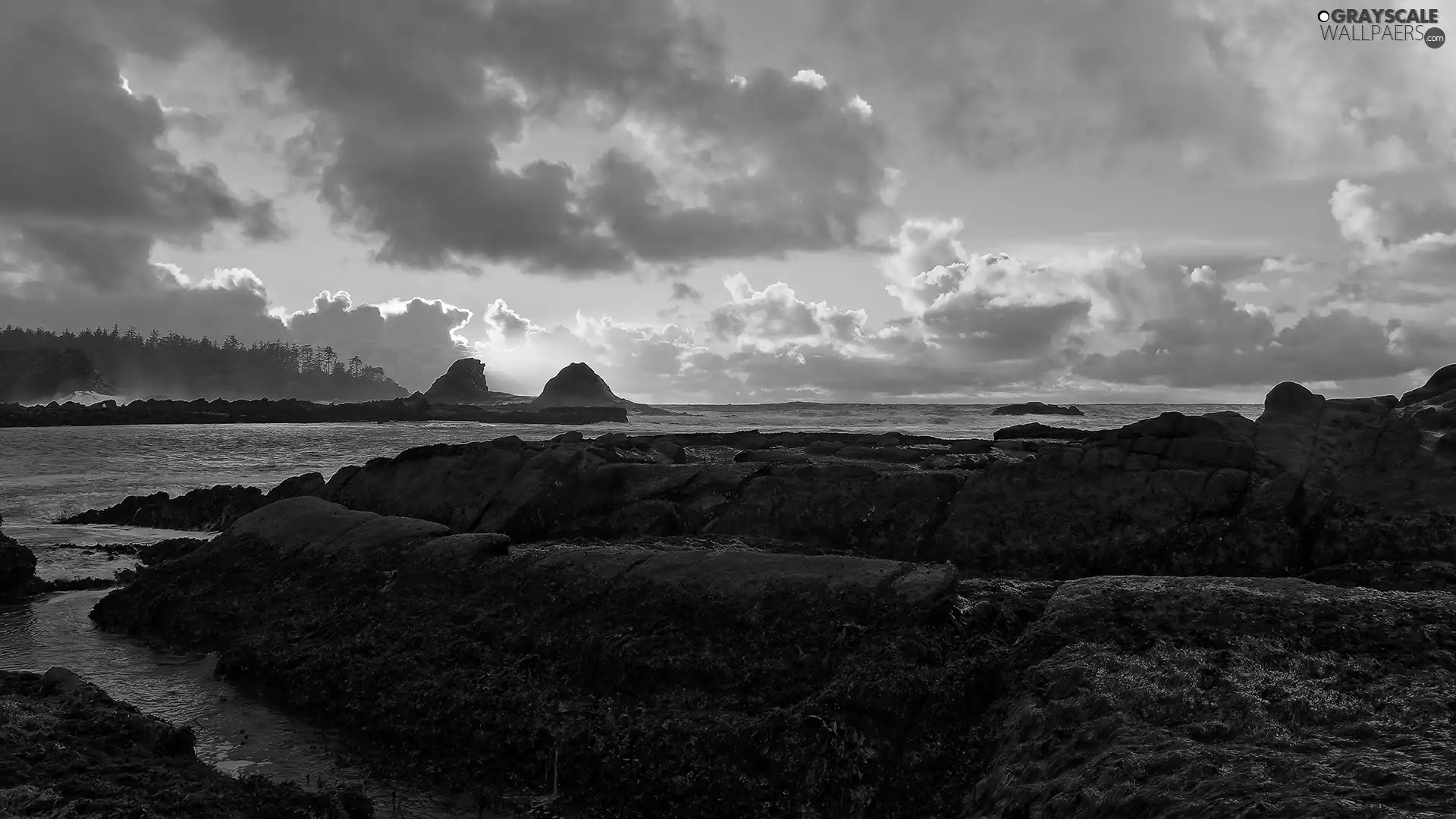 west, sea, rocks, sun