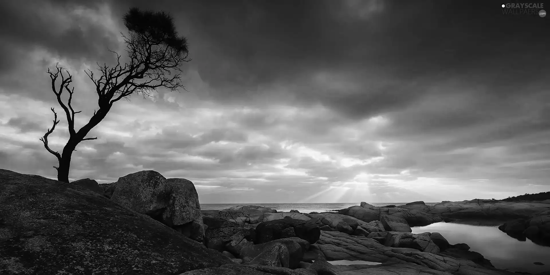 west, trees, rocks, sun