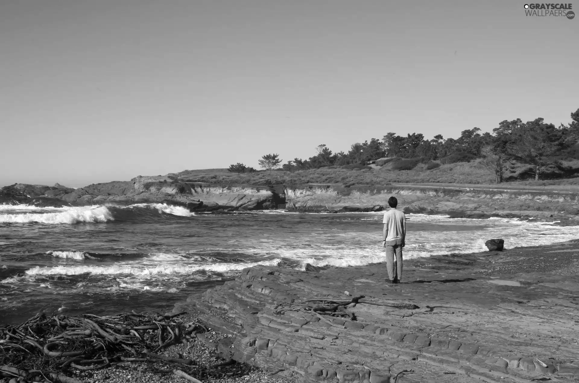 Weston, a man, rocks, water