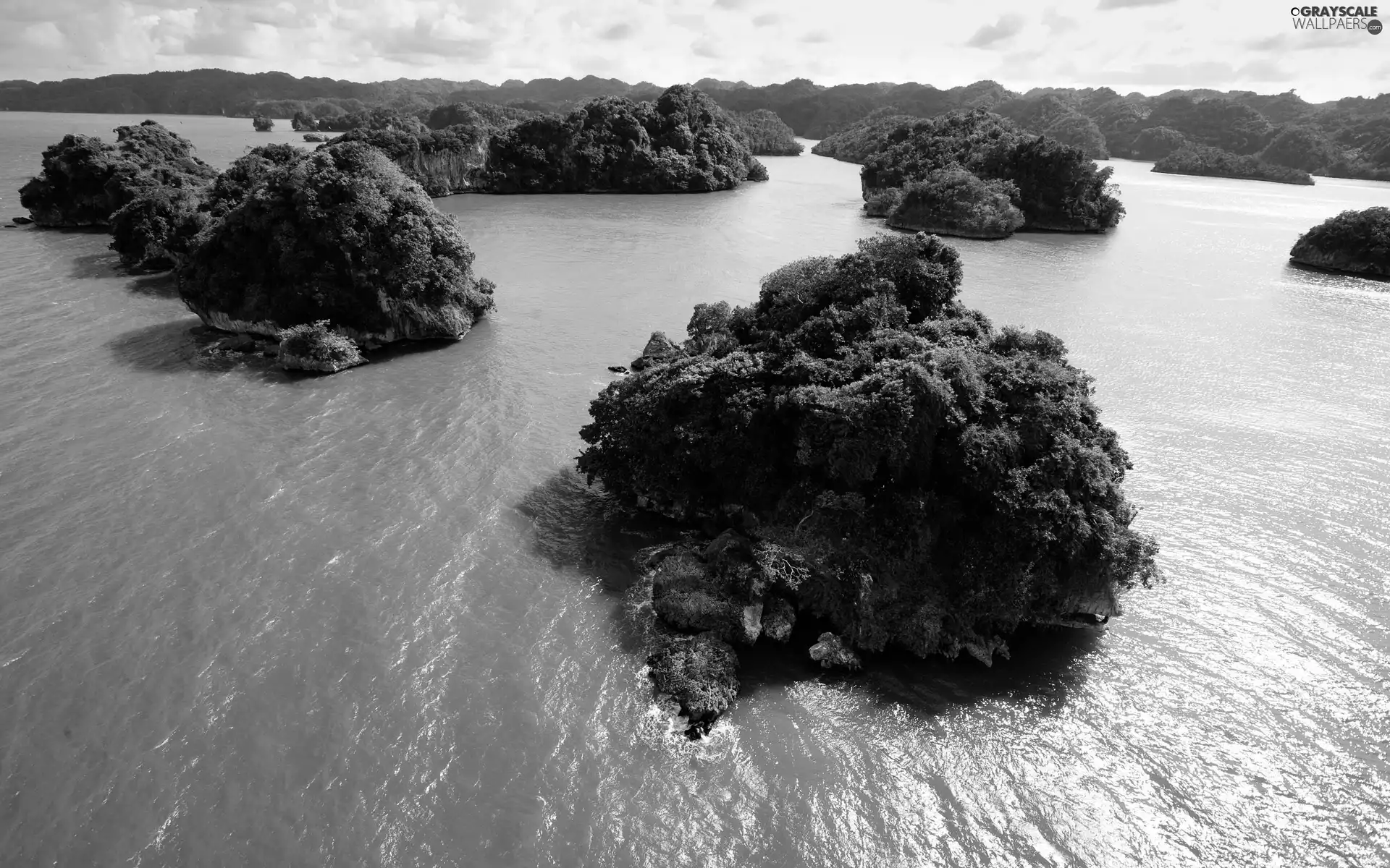 rocks, sea, Wooded