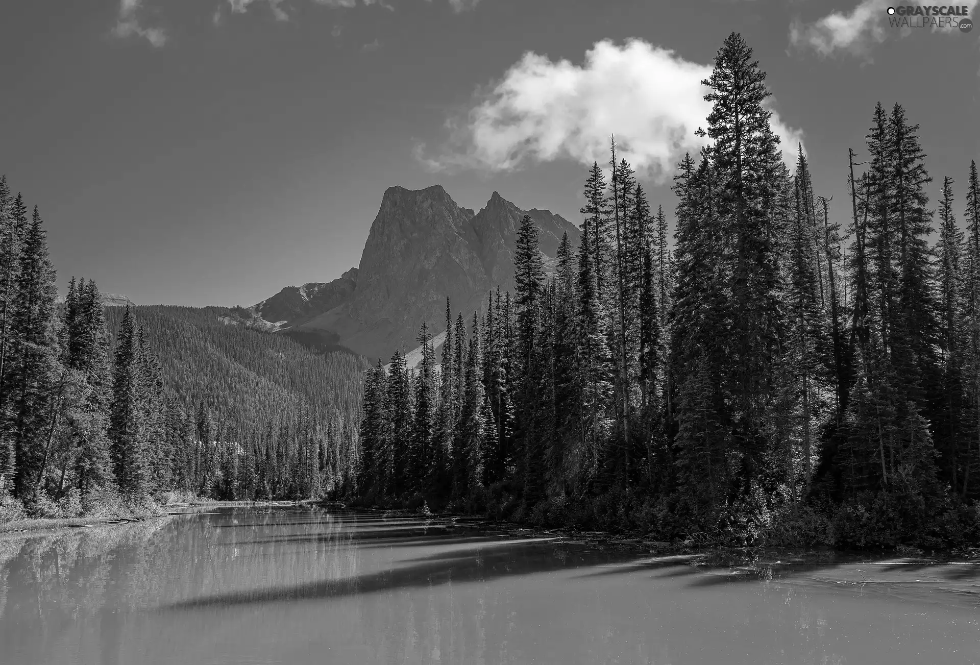 trees, viewes, Canada, rocky mountains, British Columbia, Emerald Lake, lake, Yoho National Park