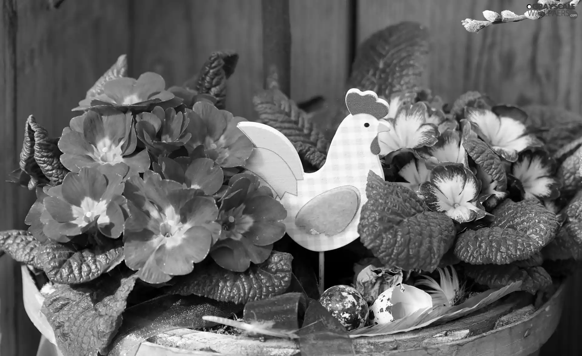rooster, primroses, decorative