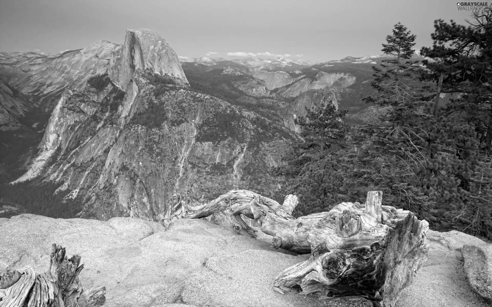 rocks, viewes, root, trees