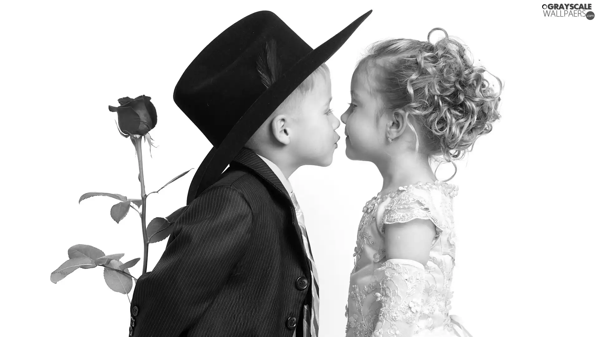 rose, girl, boy