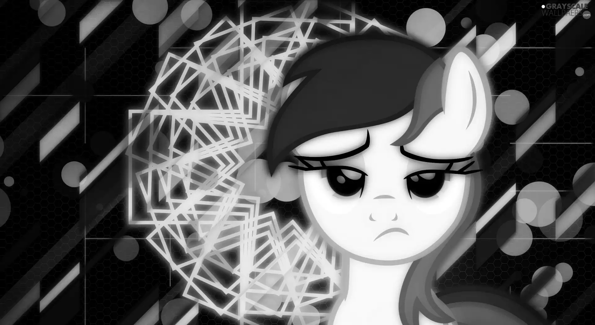 My Little Pony, rose