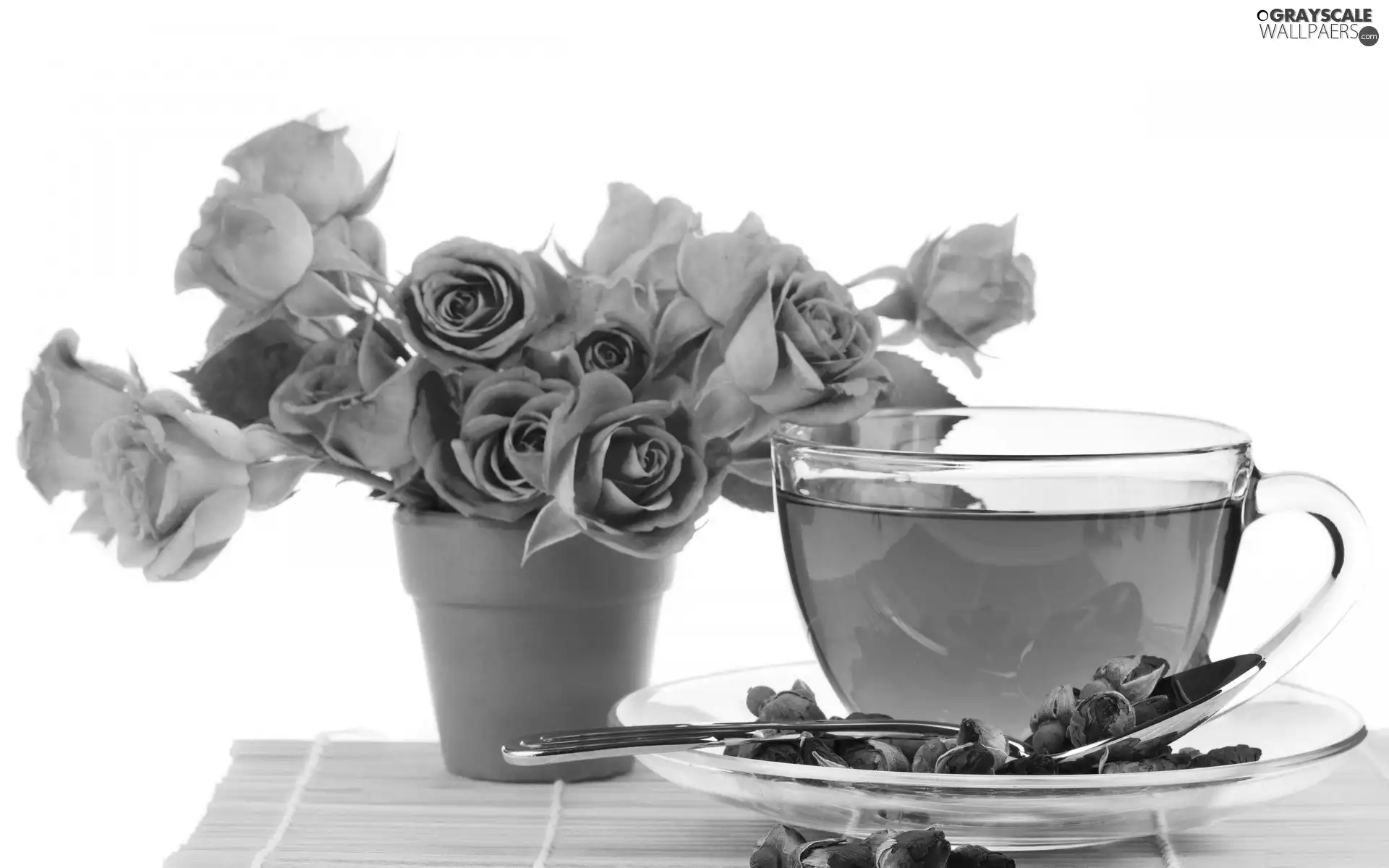 rose, roses, tea