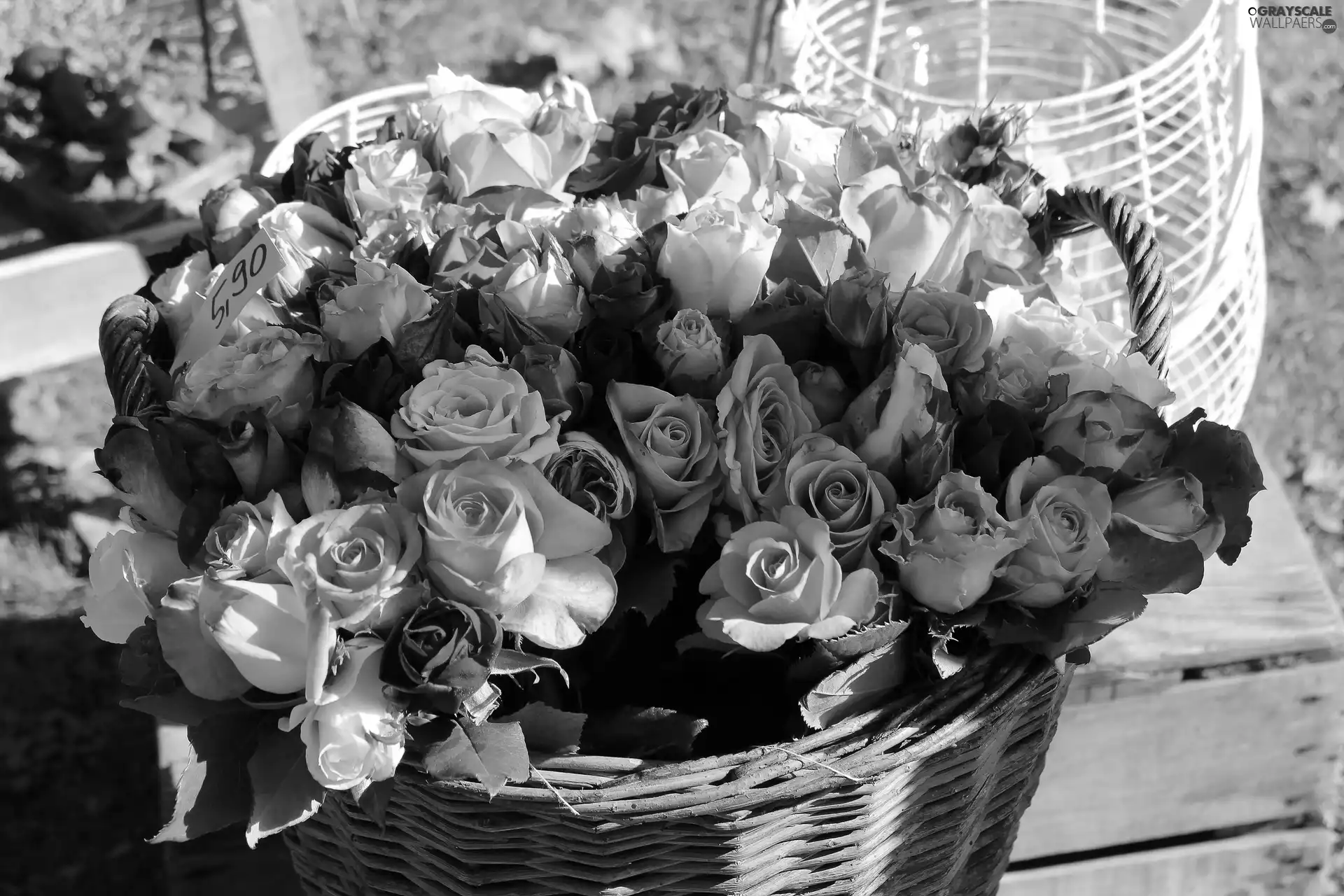 roses, basket, bouquet