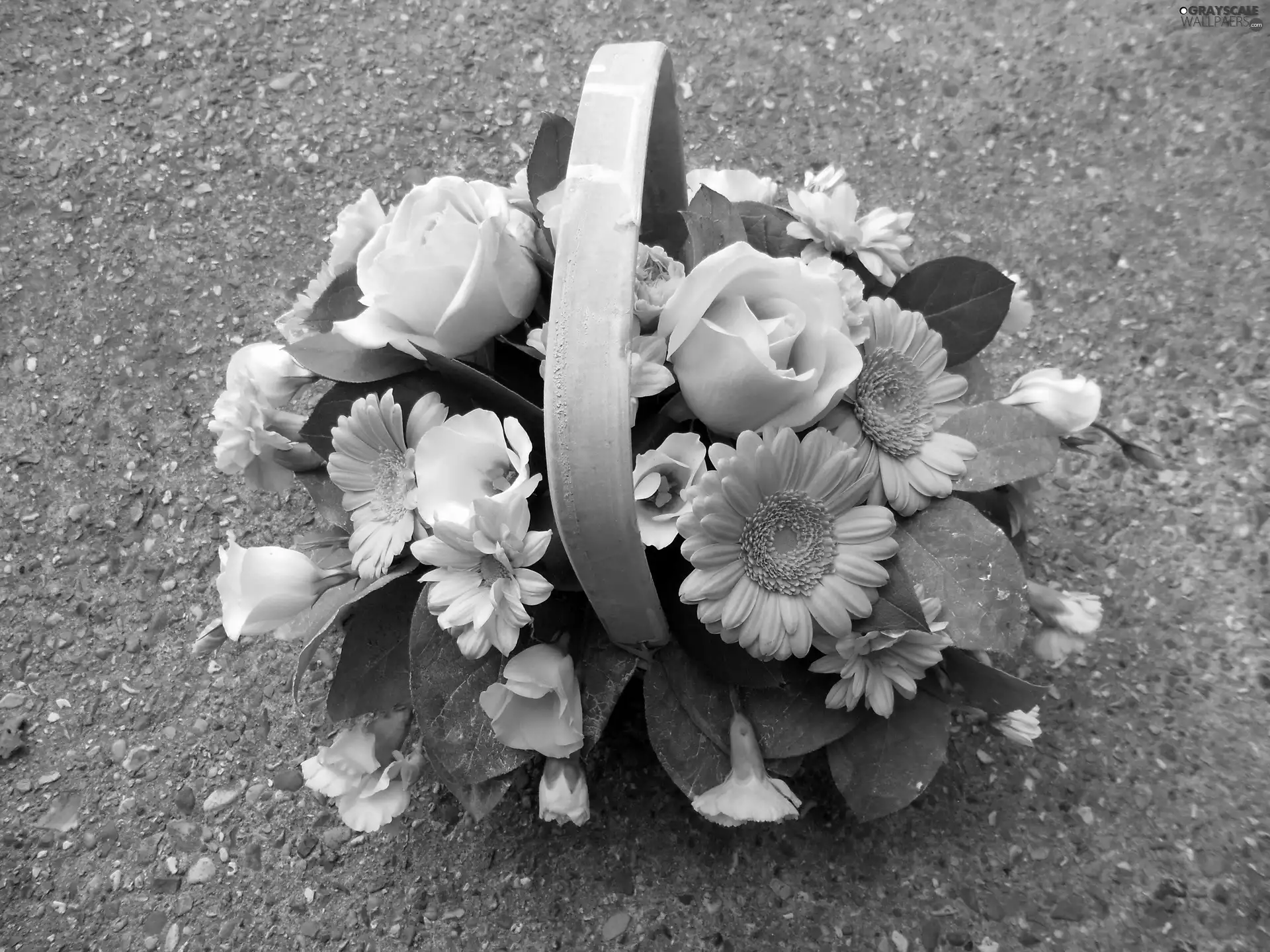 bunch, gerberas, roses, flowers