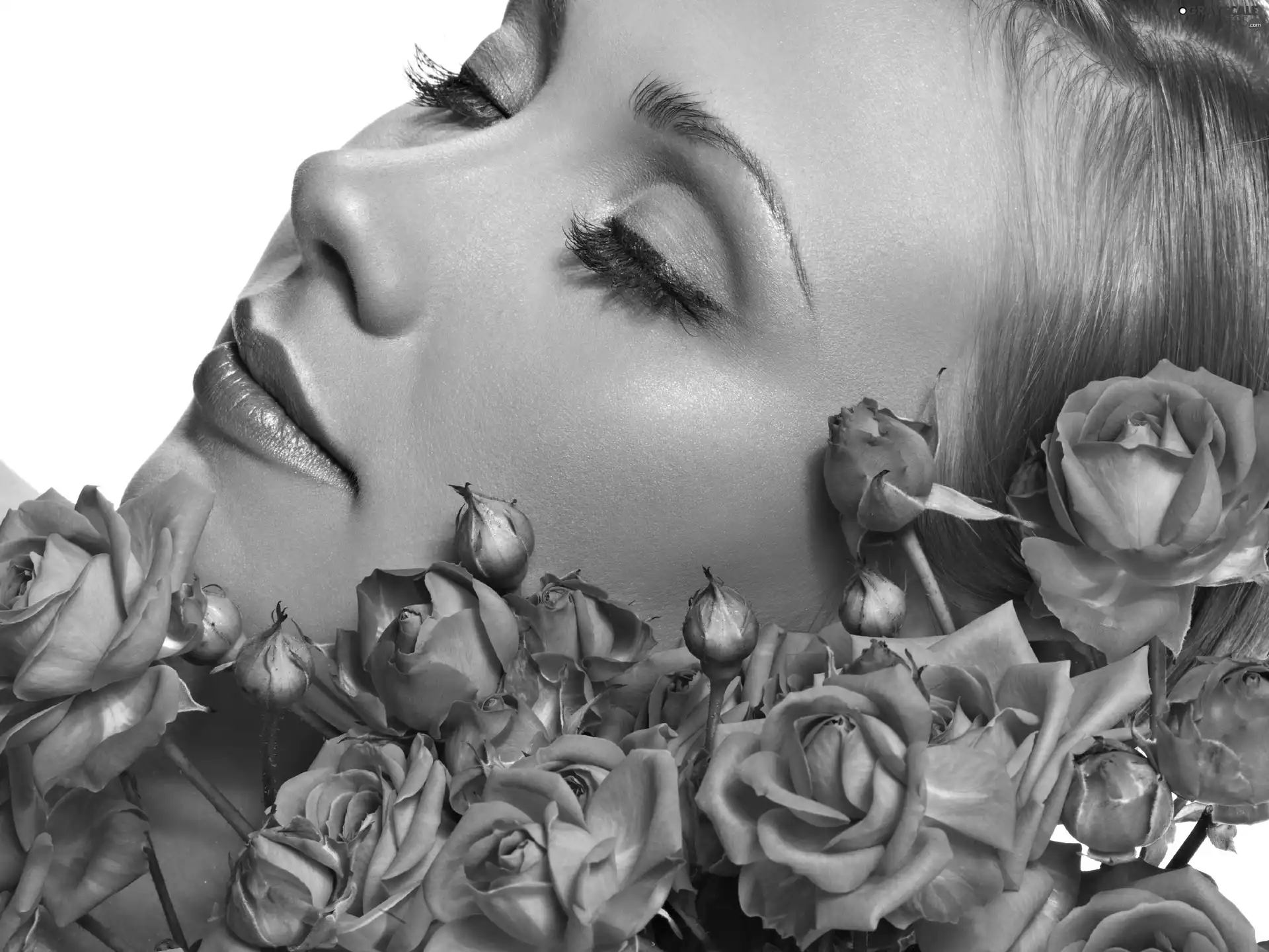 face, make-up, roses, Womens