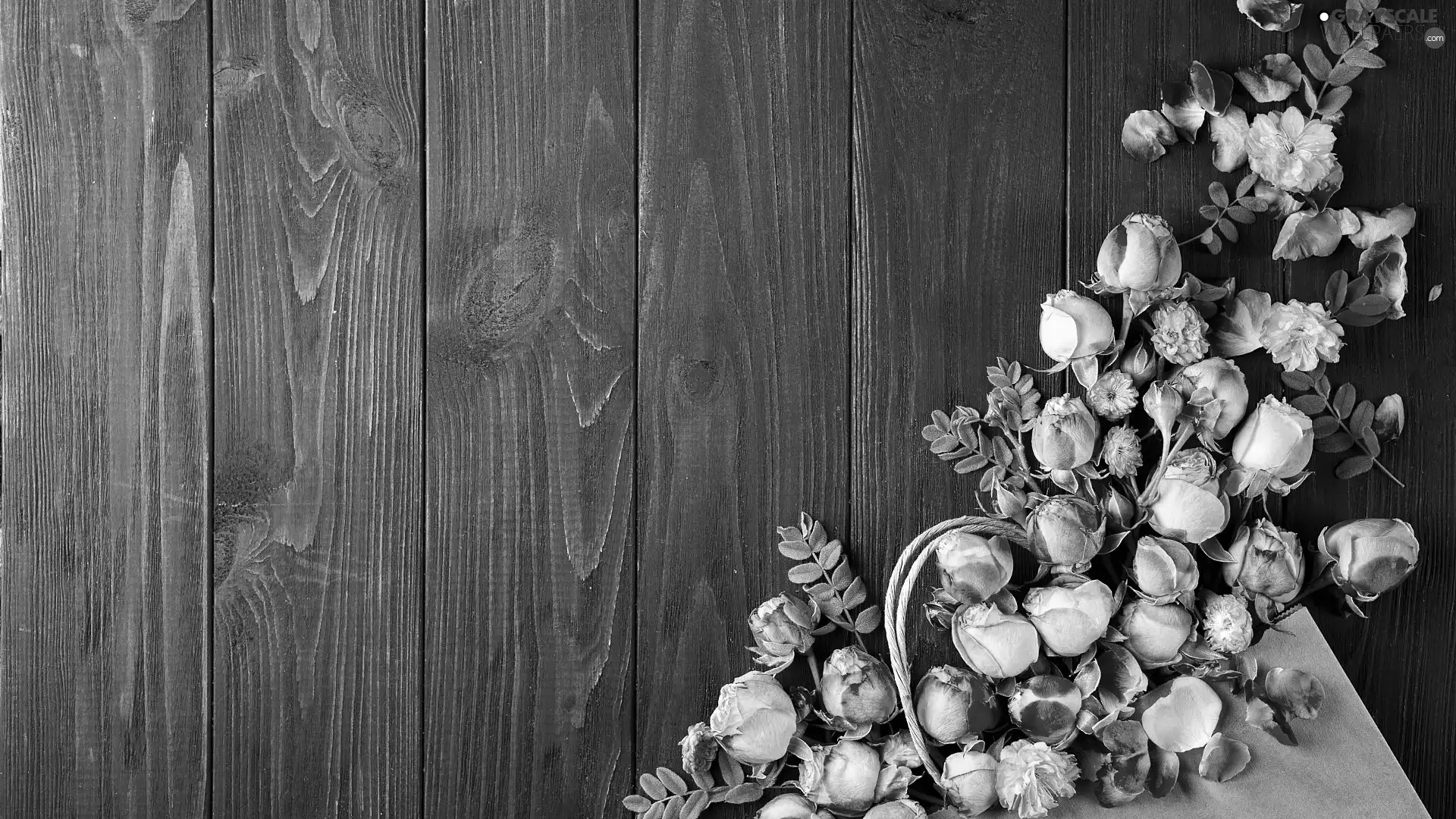 Flowers, boarding, card, roses