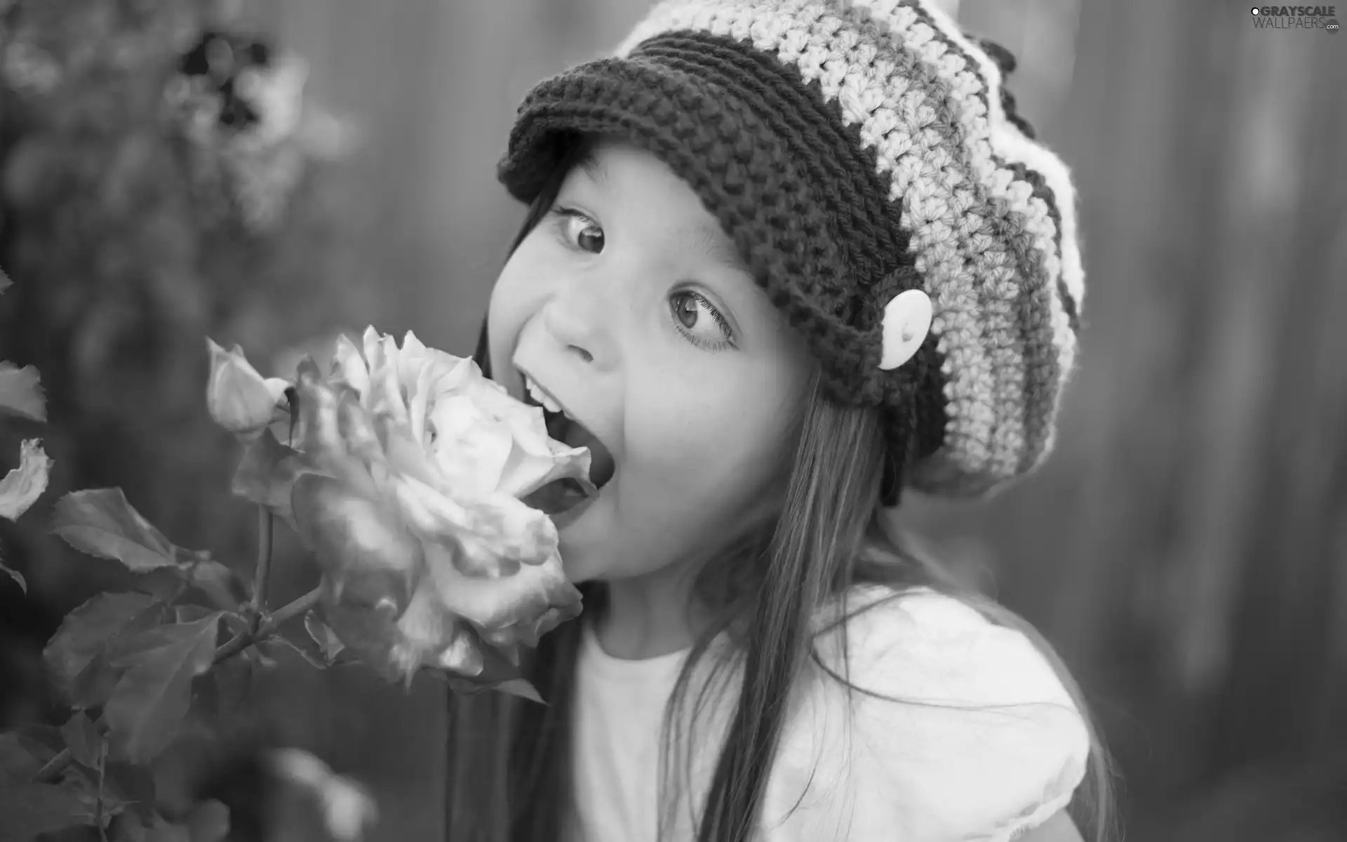 roses, girl, Garden