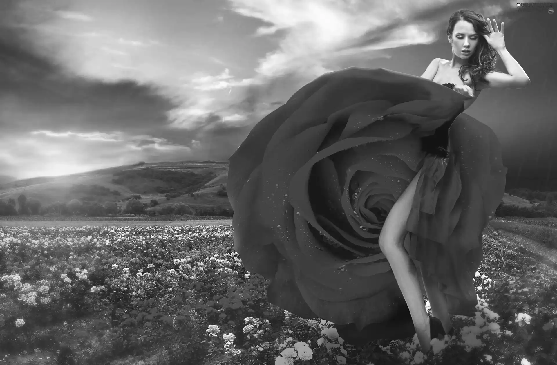 Great Sunsets, Women, roses