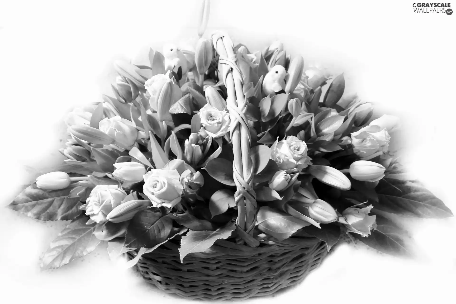 roses, basket, Tulips