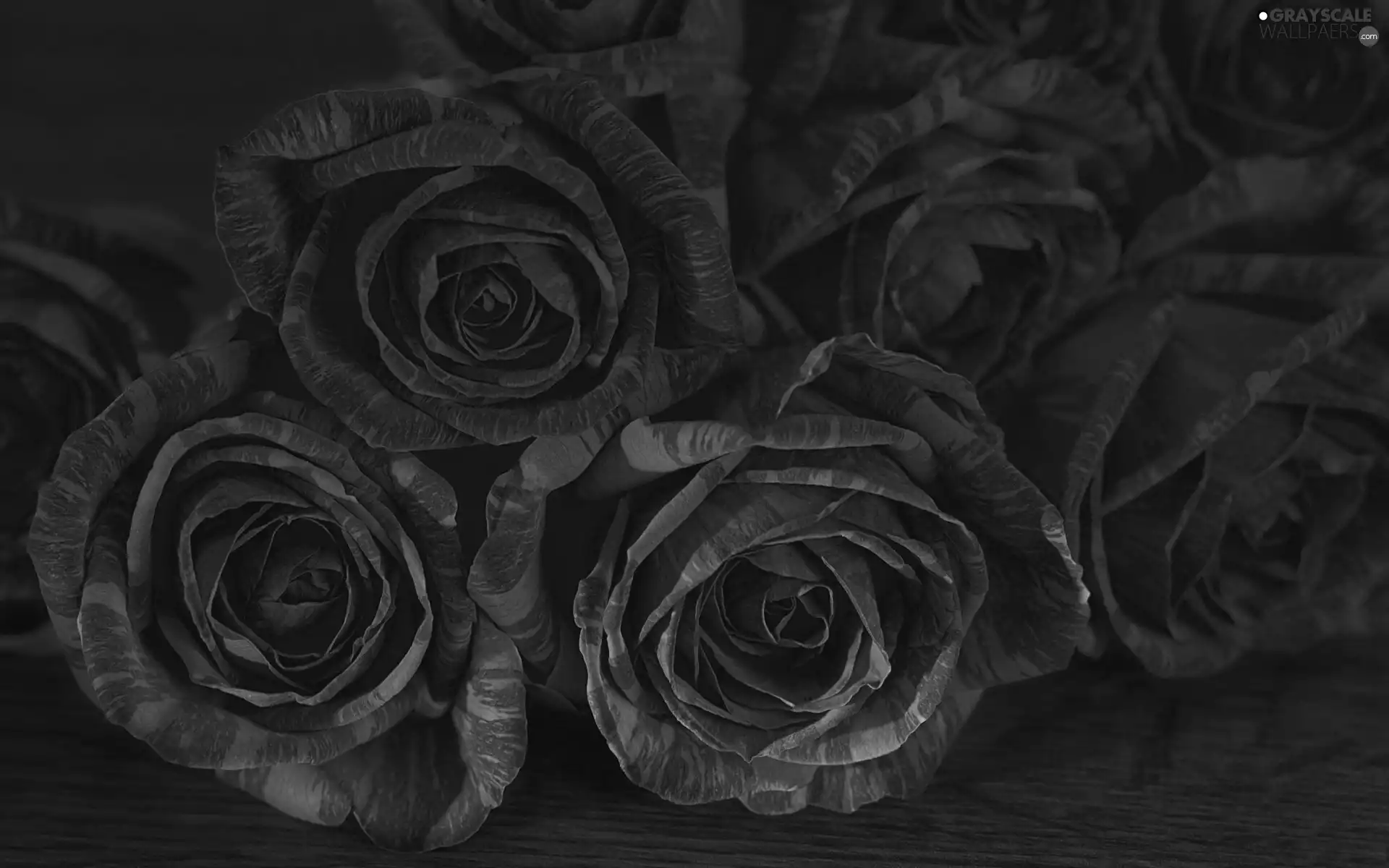 bouquet, rouge