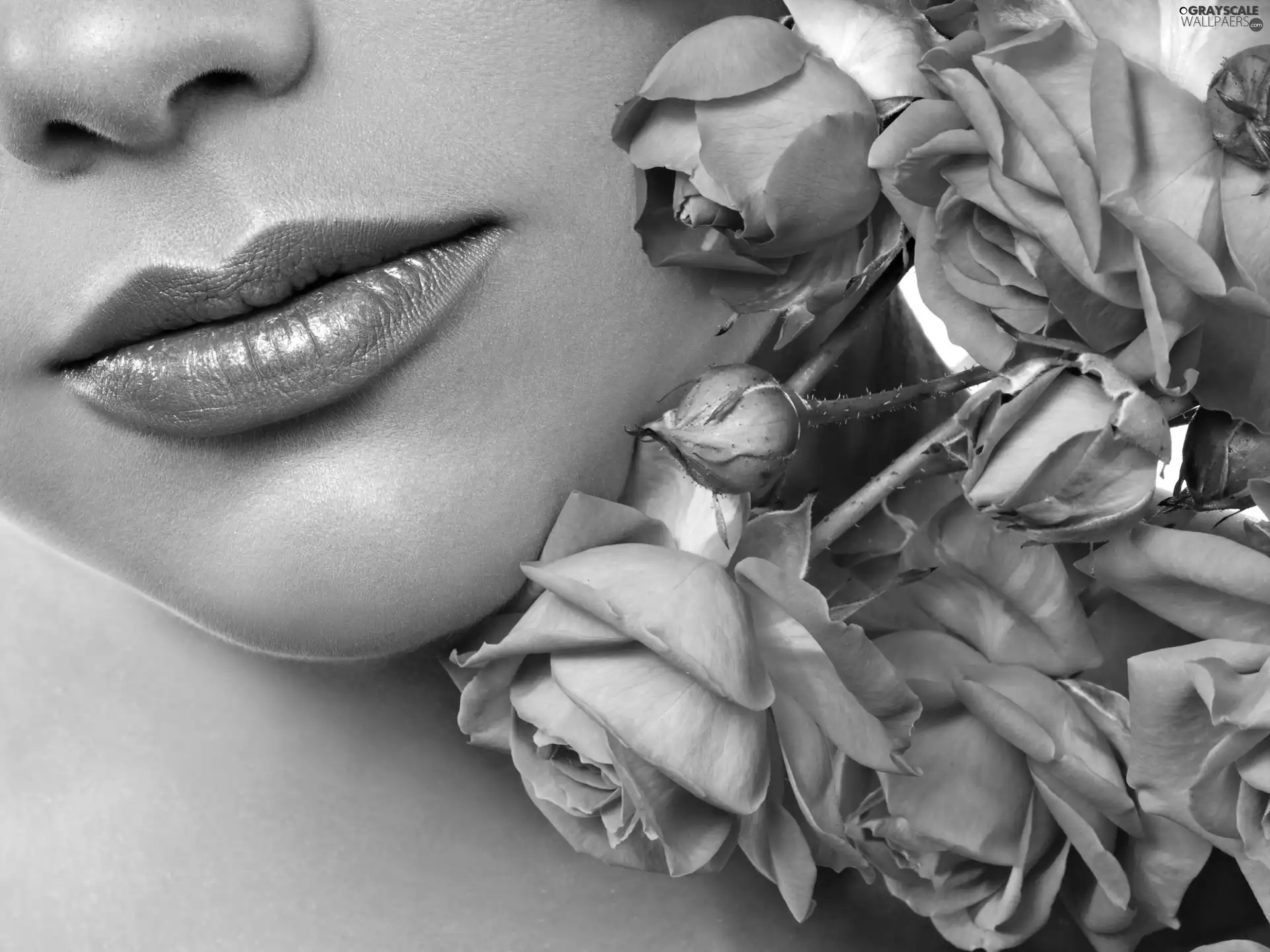 rouge, Women, bouquet