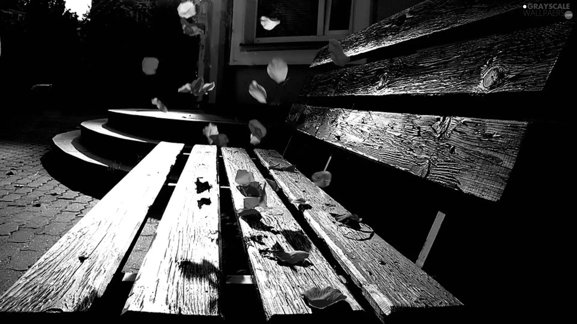 rouge, Bench, flakes