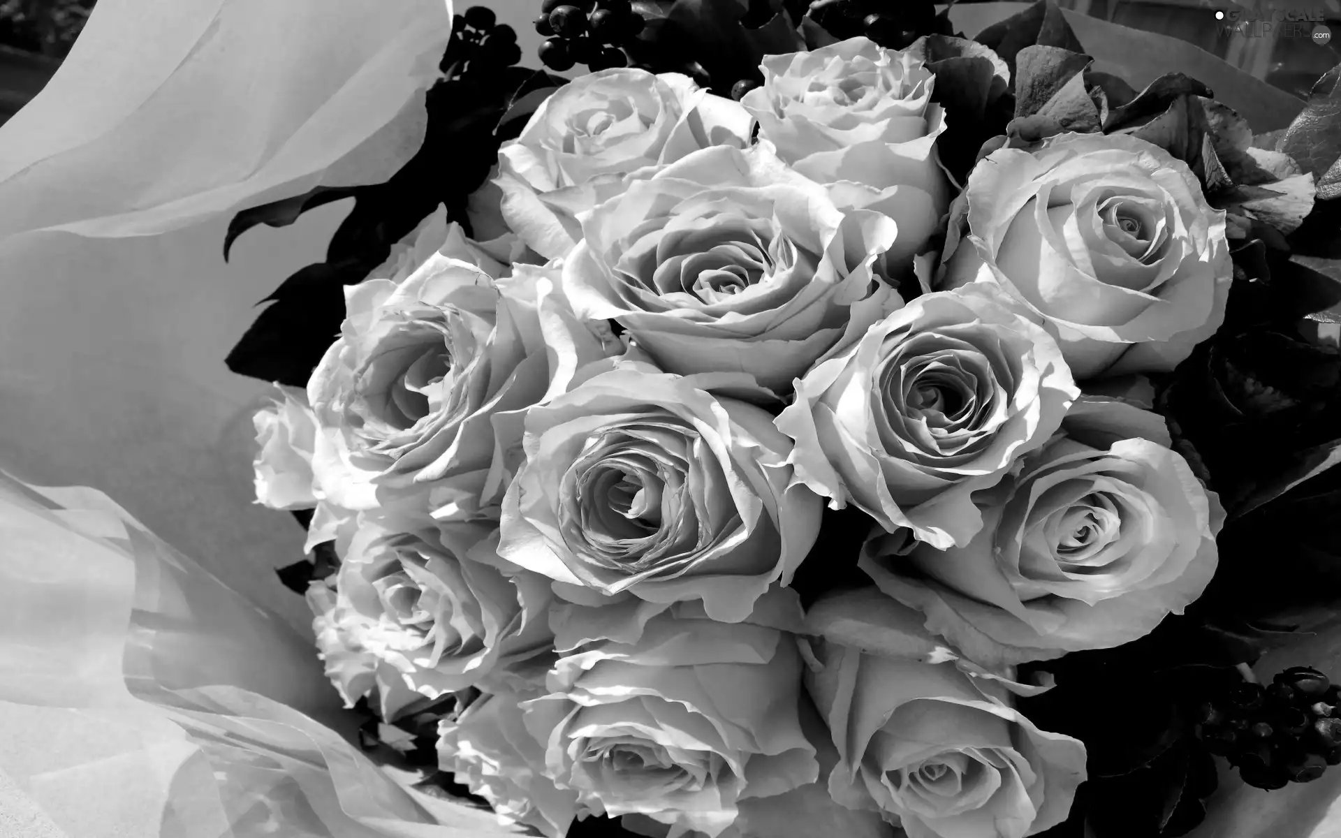 rouge, bouquet, pink