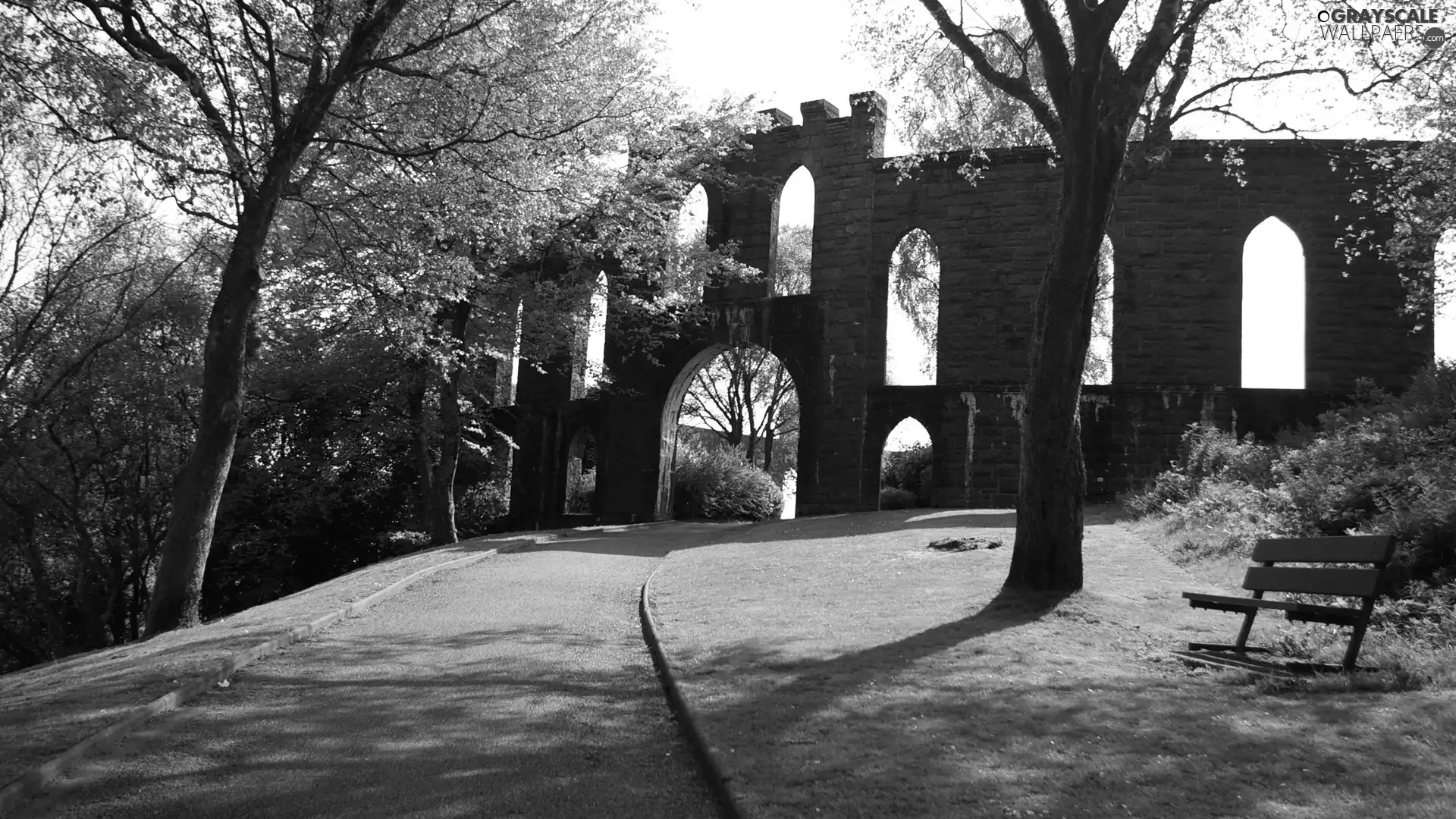 ruins, castle, trees, viewes, Park