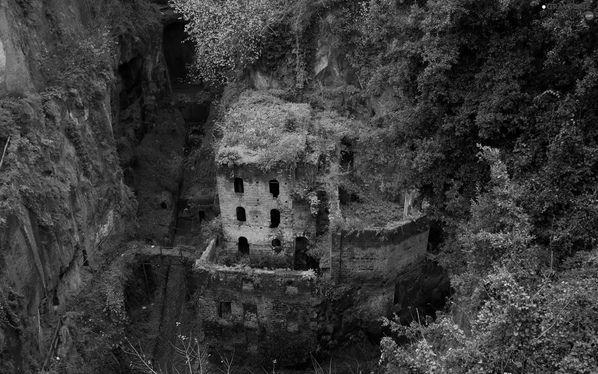 ruins, forest, rocks