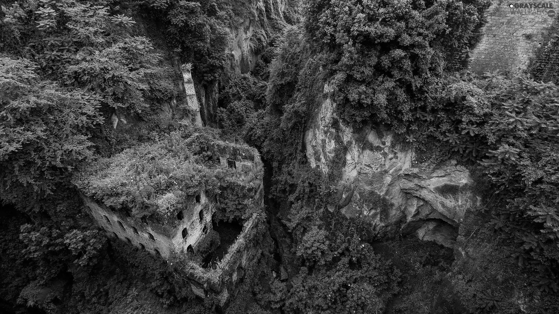 rocks, viewes, ruins, trees