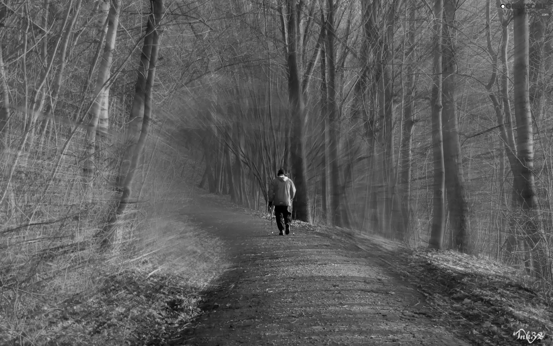 runner, Way, forest