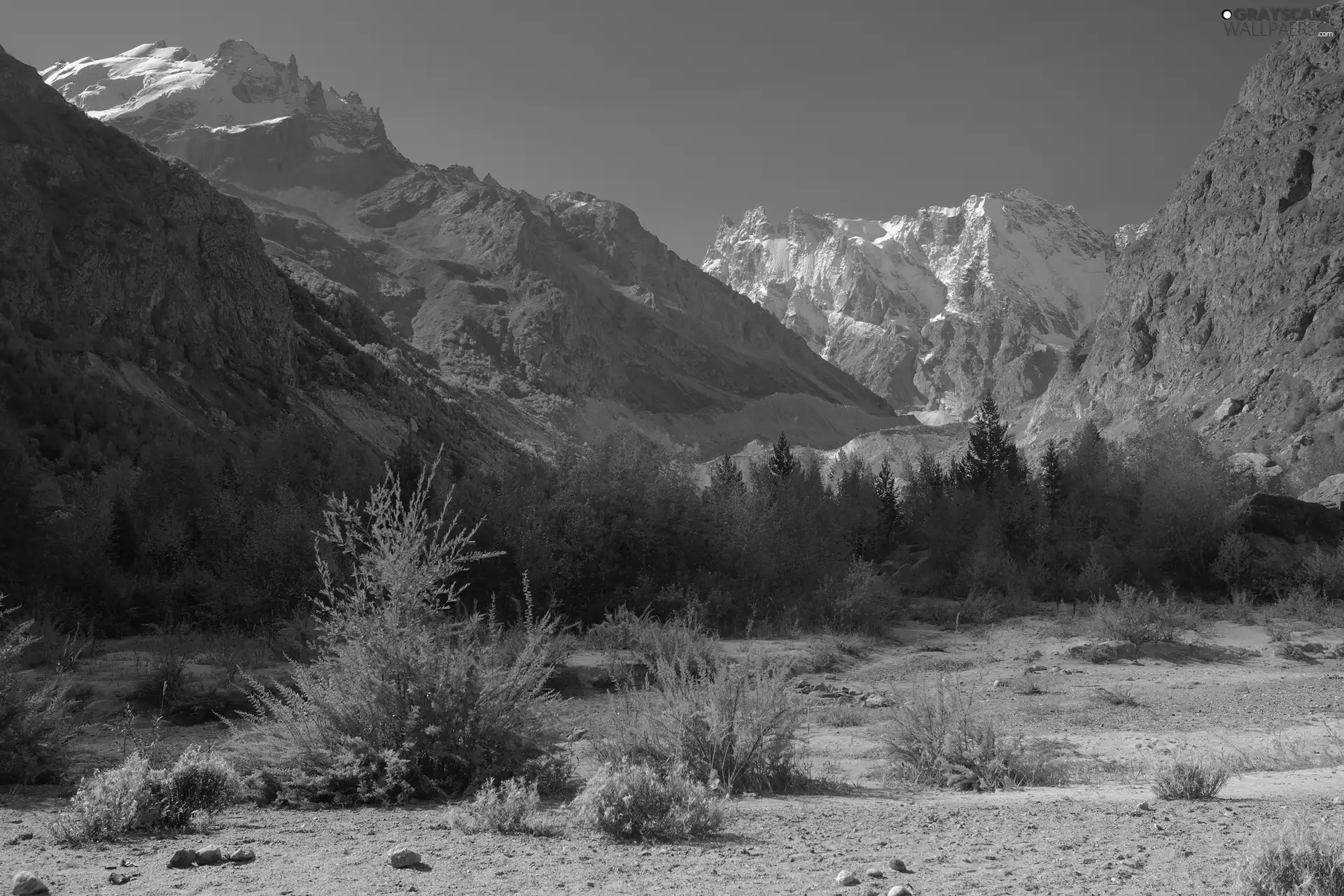 Bush, trees, Kabardino-Balkaria, viewes, Mountains, Caucasus, Russia