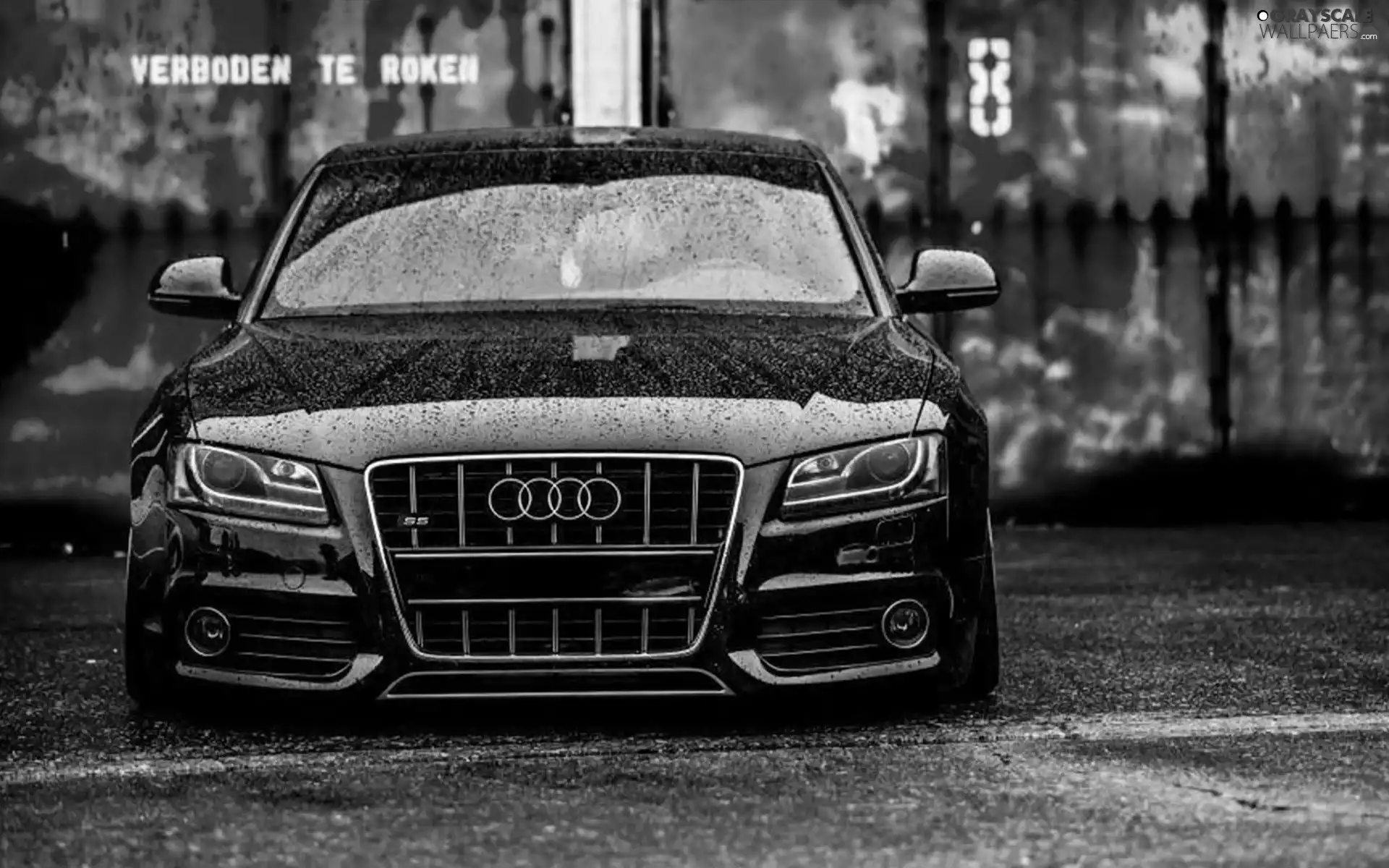 Audi, S5