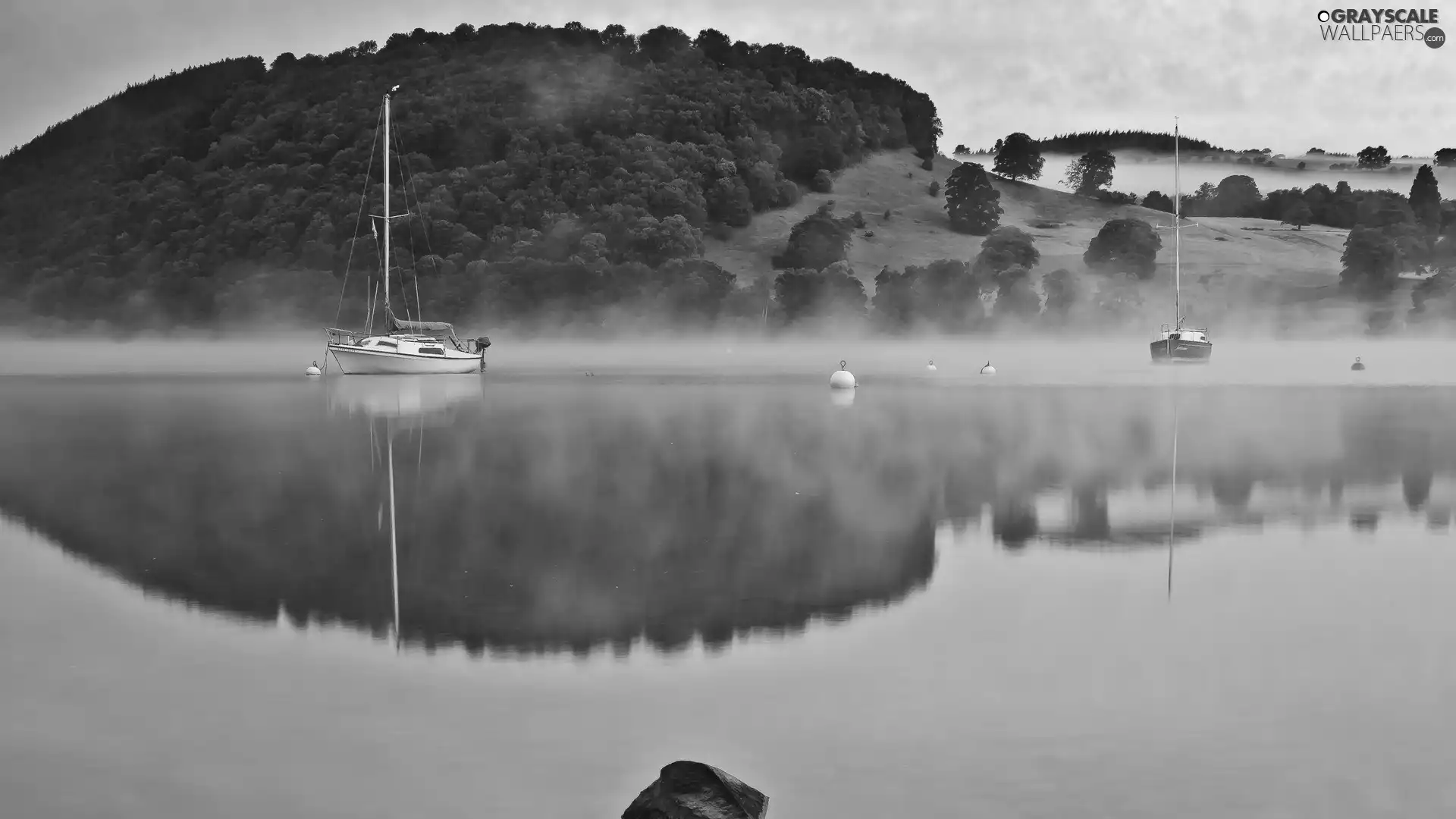 lake, Hill, Sailboats, Fog