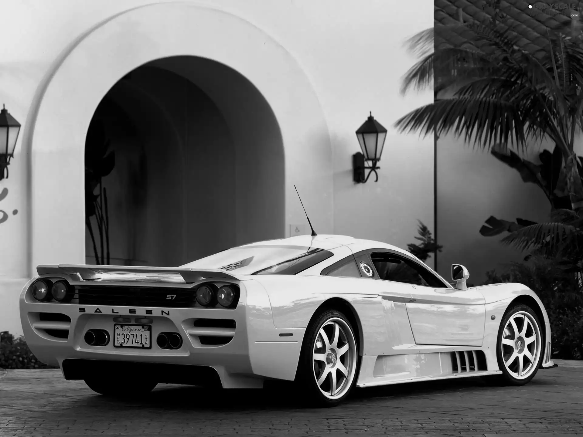 Saleen S7, spoiler