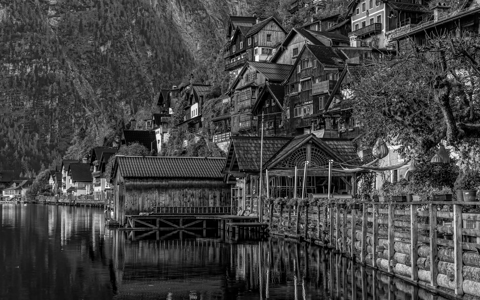 Salzburg Slate Alps, Hallstatt, trees, Hallstattersee Lake, Austria, Houses, viewes