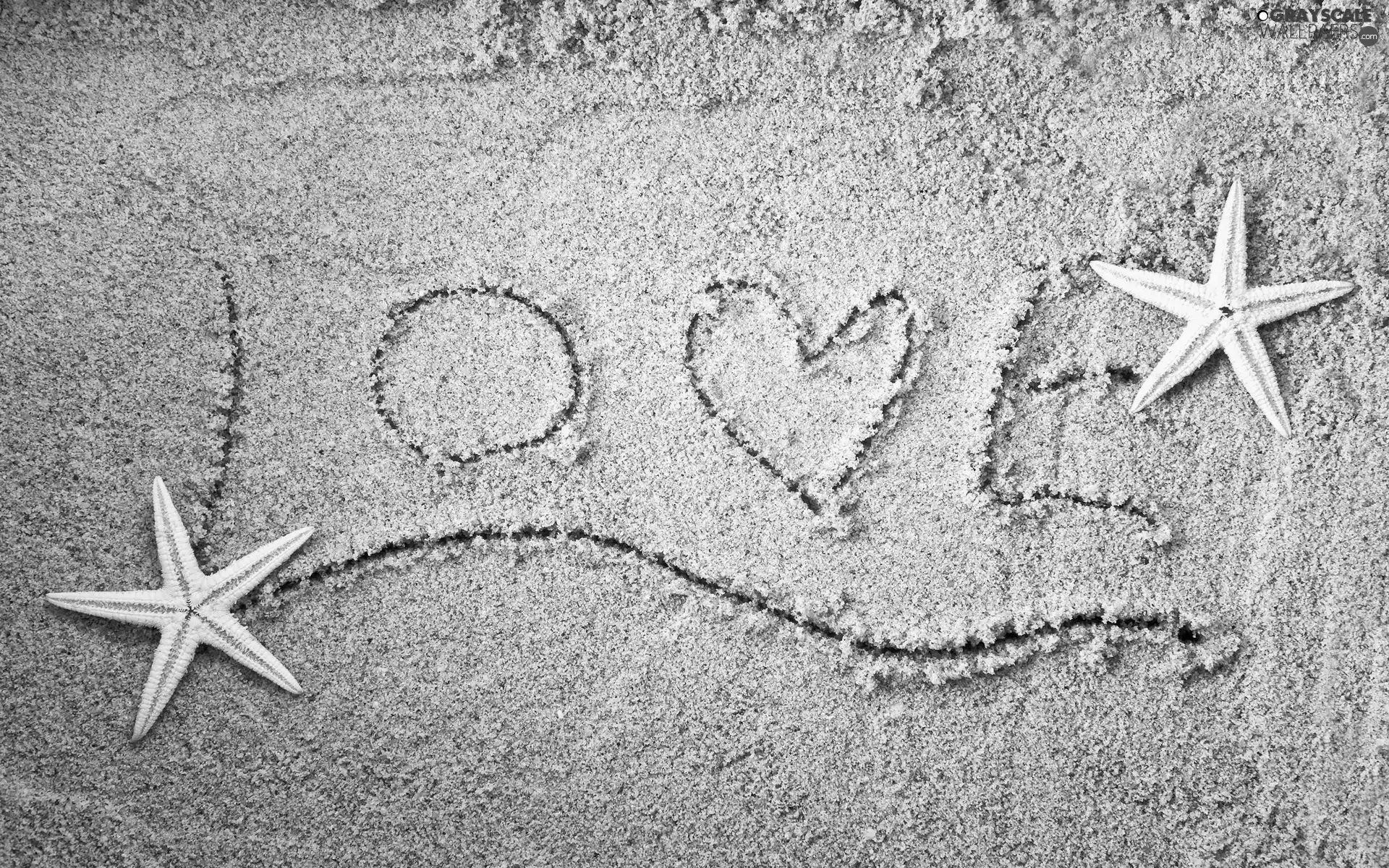 Sand, Love things, Beaches, text, starfish, LOVE