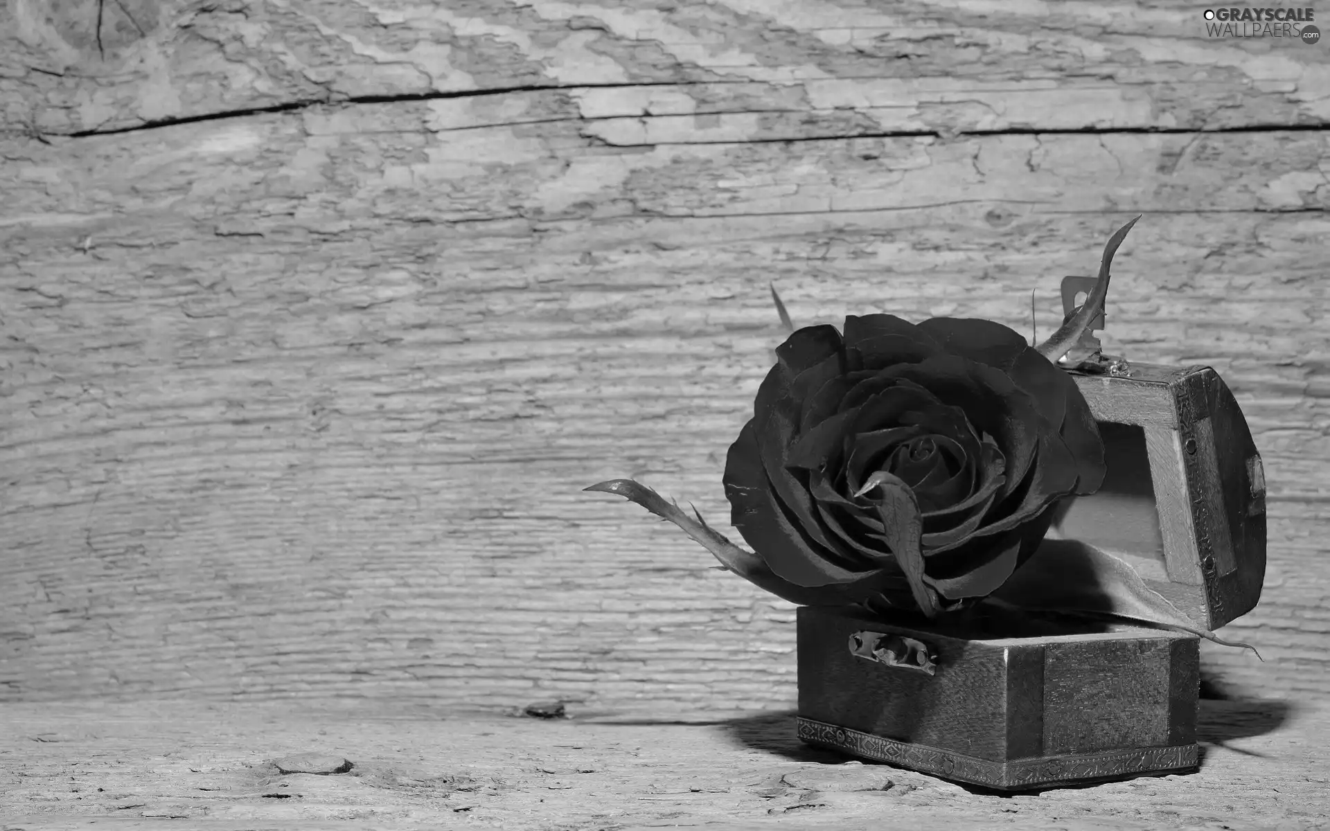 Colourfull Flowers, casket, Sand, rose