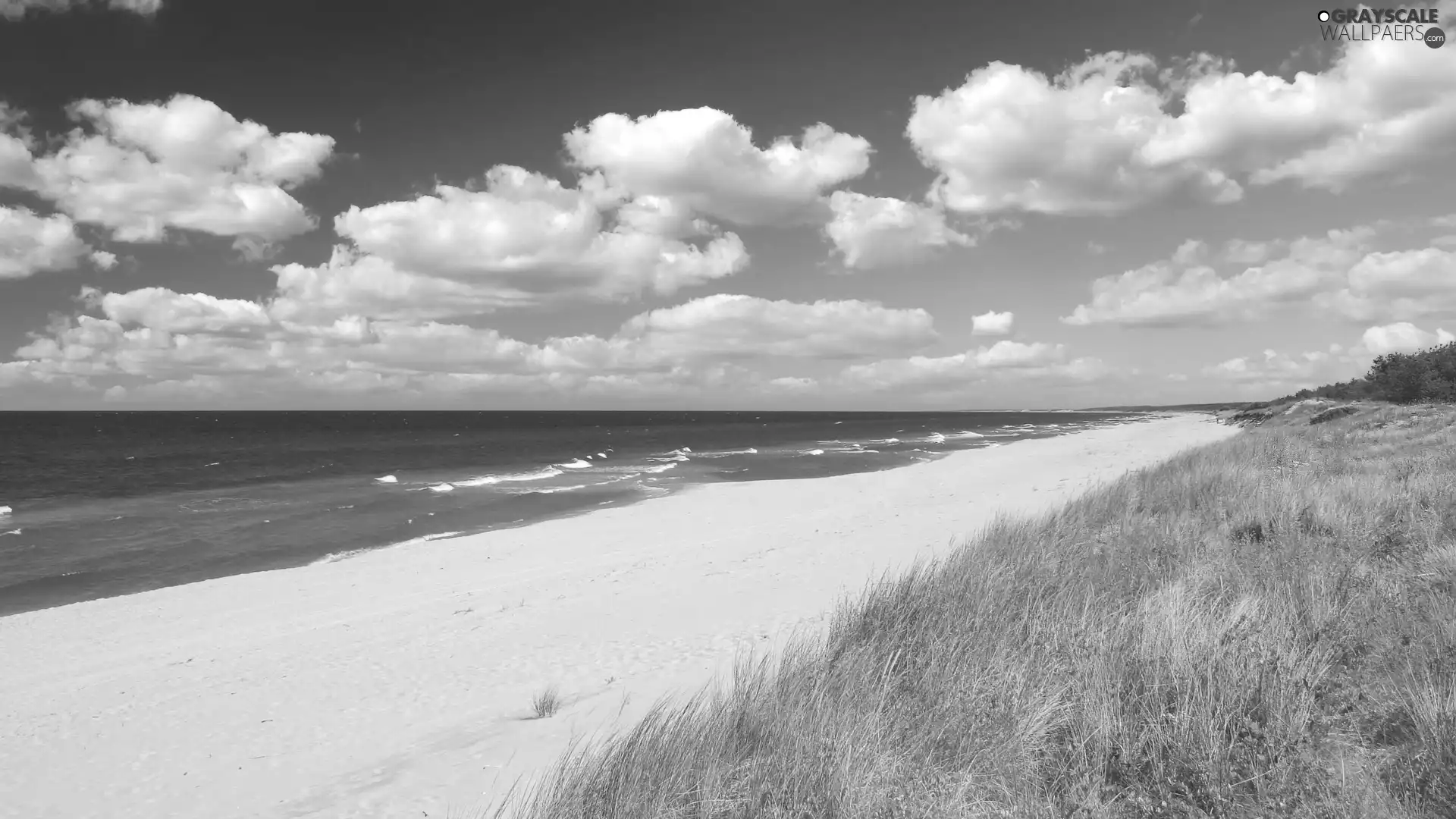 Sand, grass, Waves, Beaches, sea