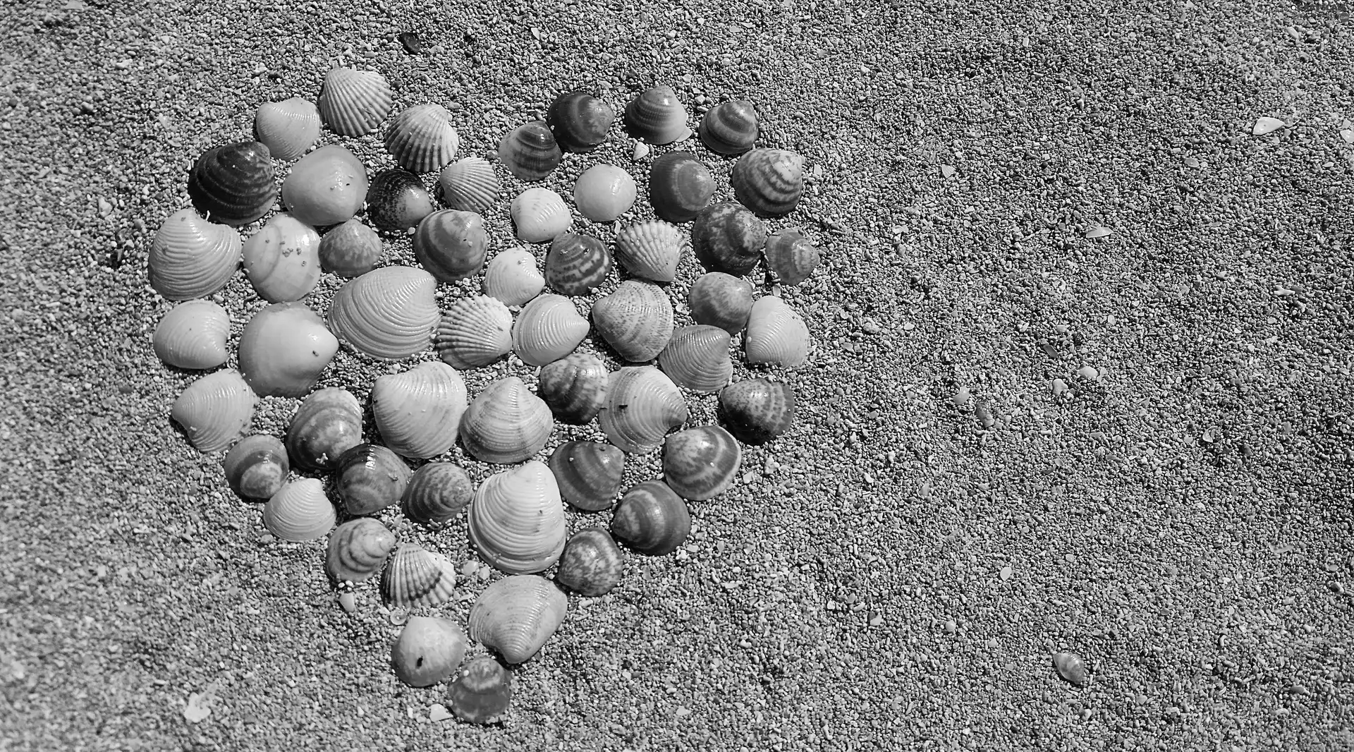 Heart, love, Sand, Shells