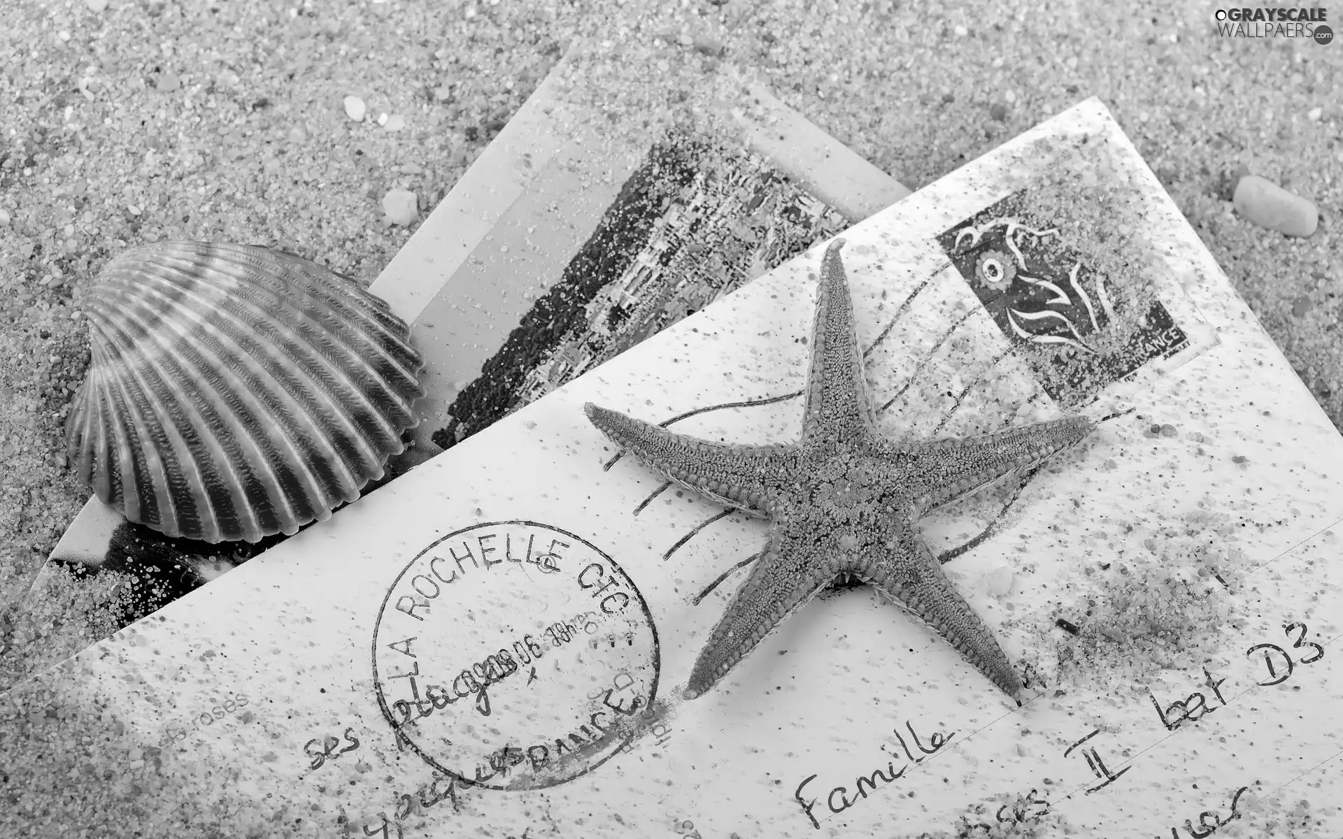 Postcards, starfish, Sand, shell